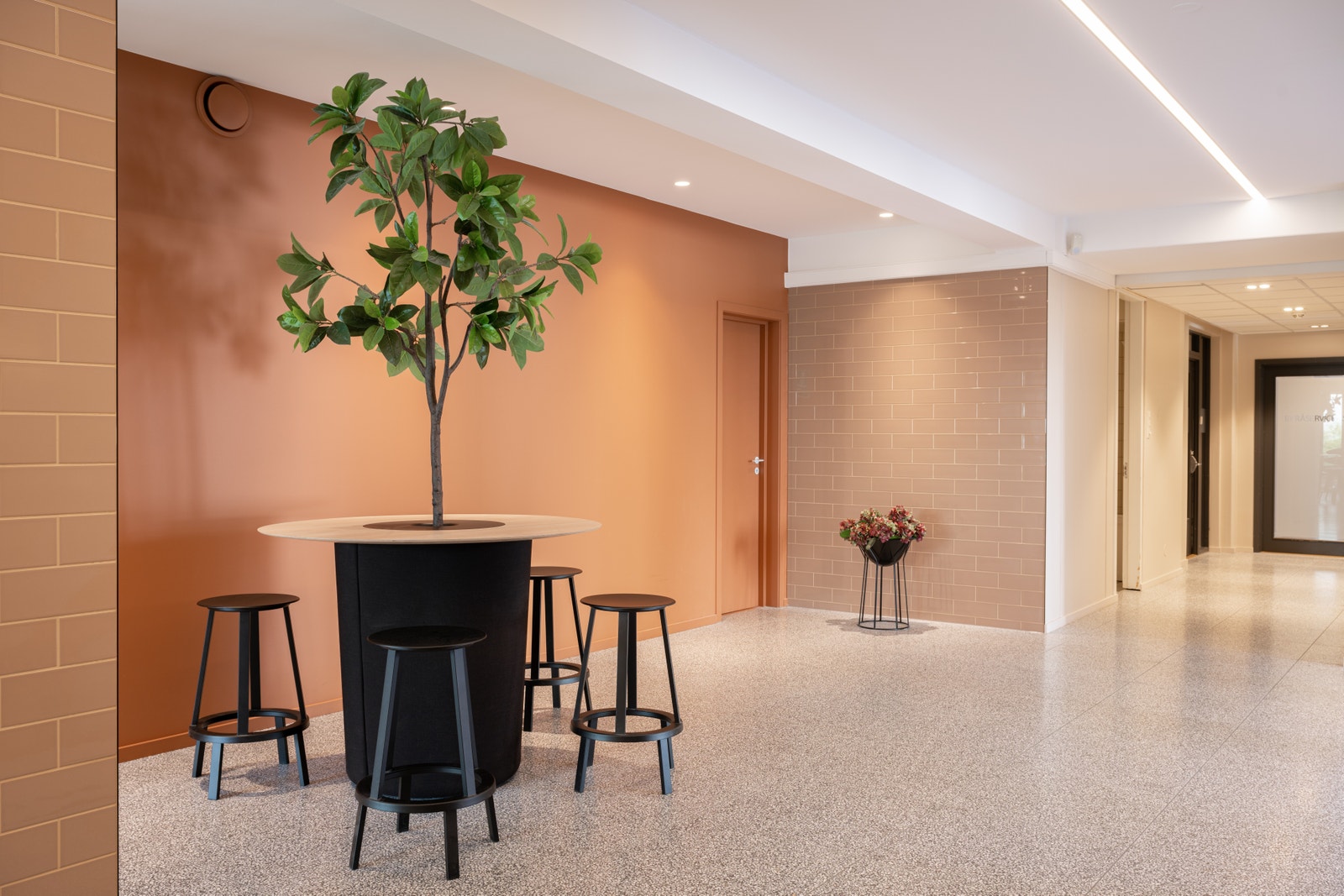 Felles inngangsparti/fellesareal Galleribilde