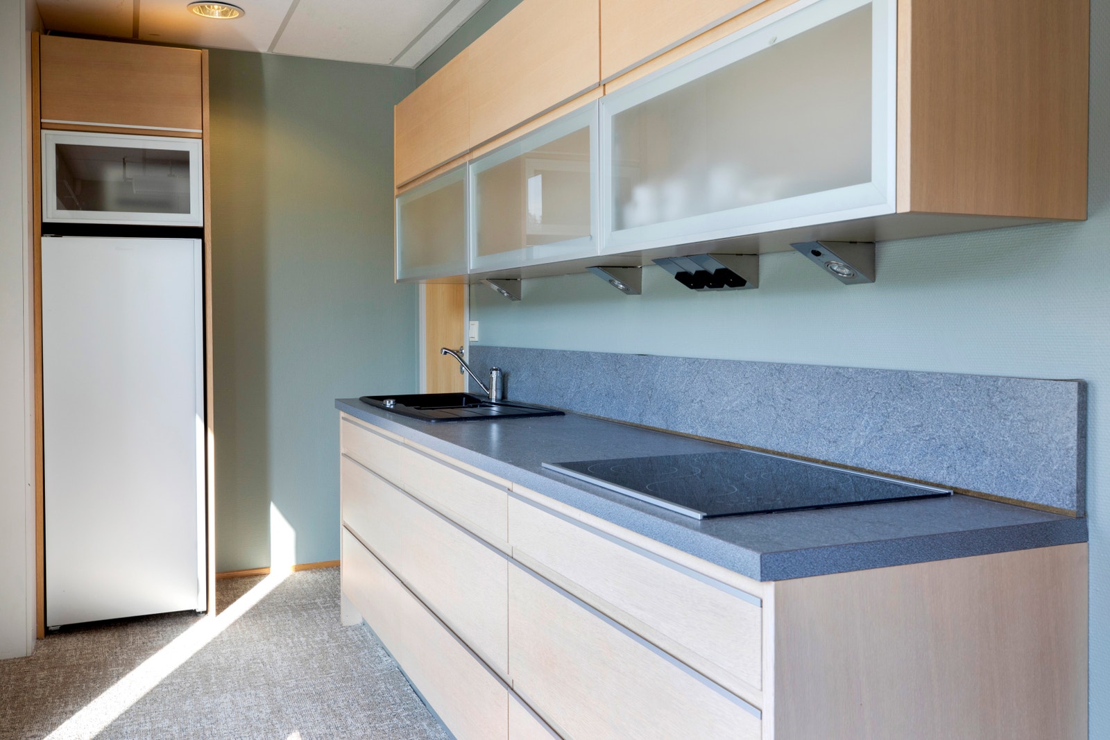 Kjøkkenkrok - minikjøkken med kokeplate, kjøleskap mm. Galleribilde