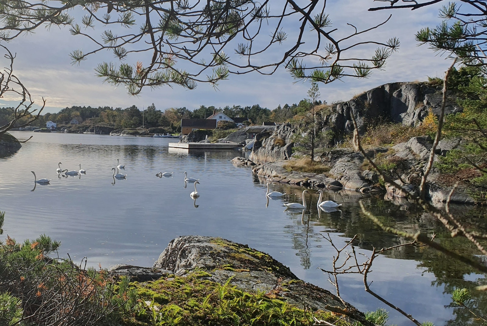 Nærområdet Galleribilde