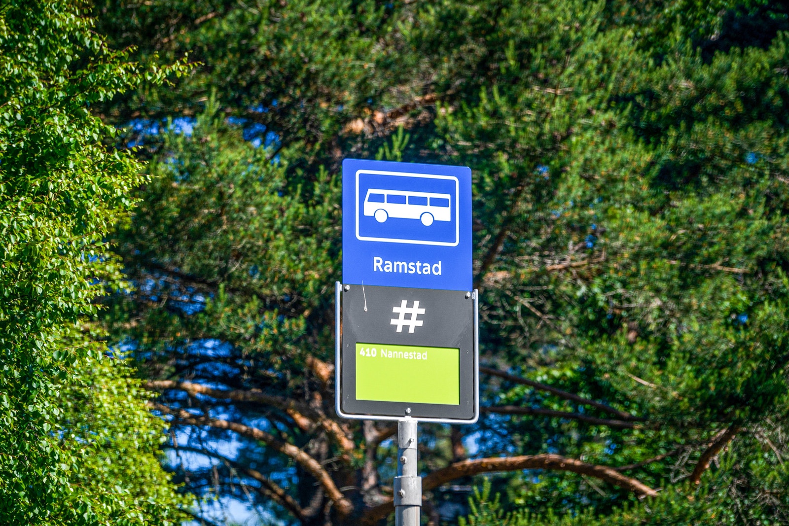 Kollektivtilbudet i området består av buss Galleribilde