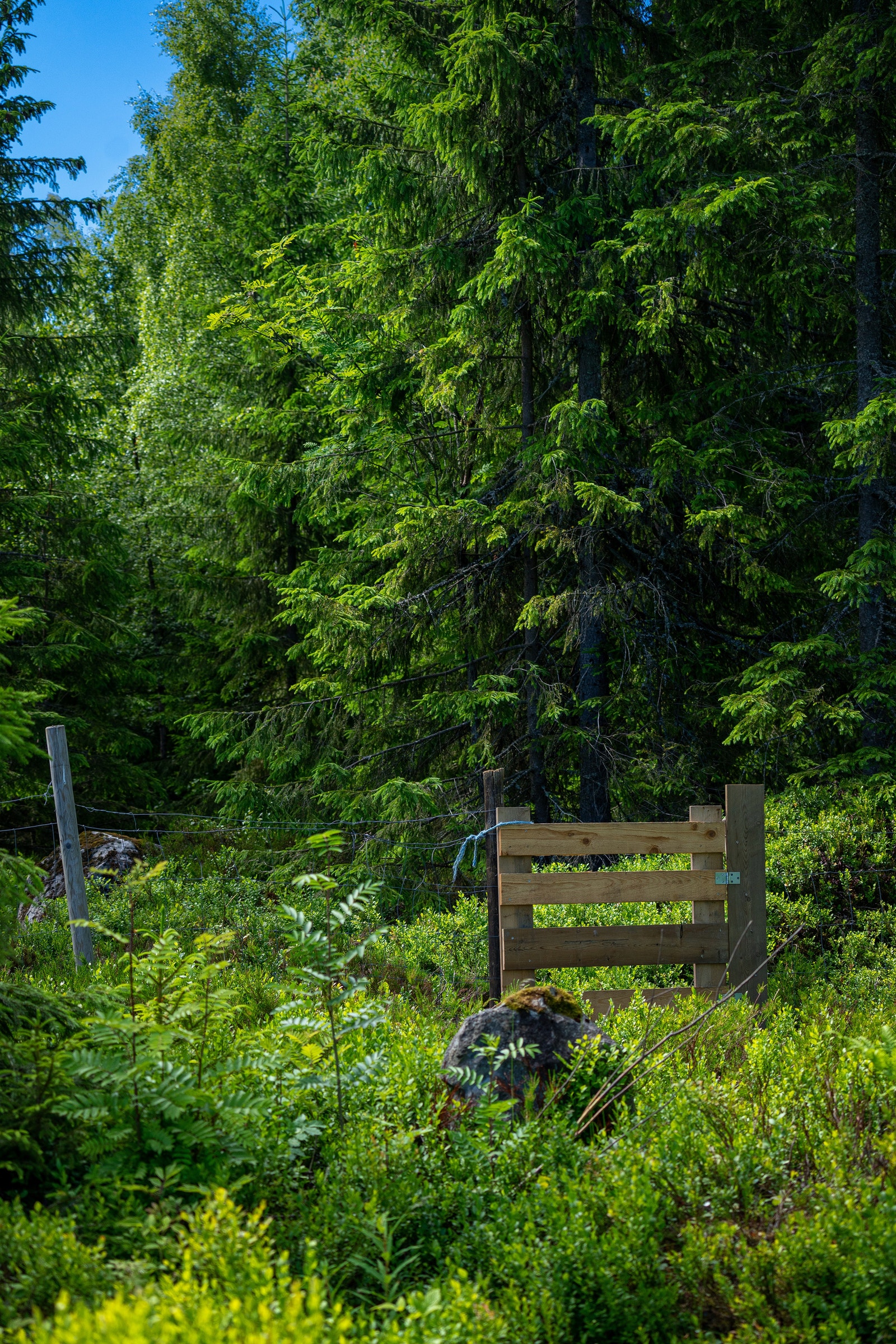 På Ramstadåsen bor du i naturskjønne omgivelser Galleribilde