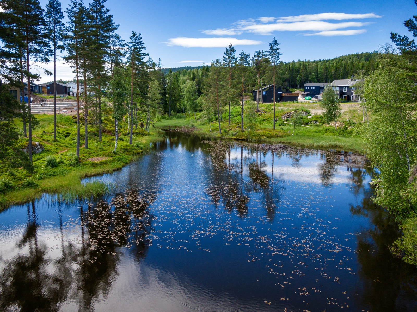 Nydelig natur i nabolaget Galleribilde
