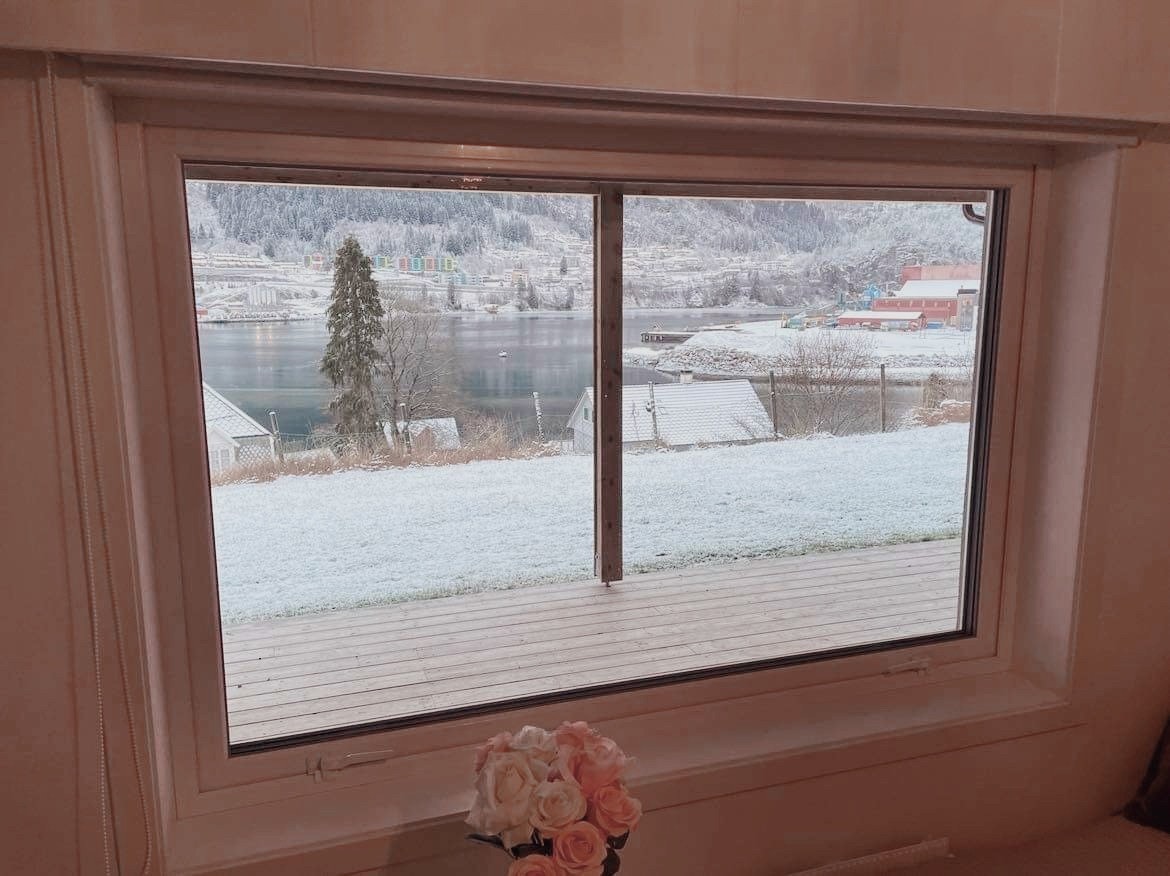 Utsikt fra rommene Galleribilde