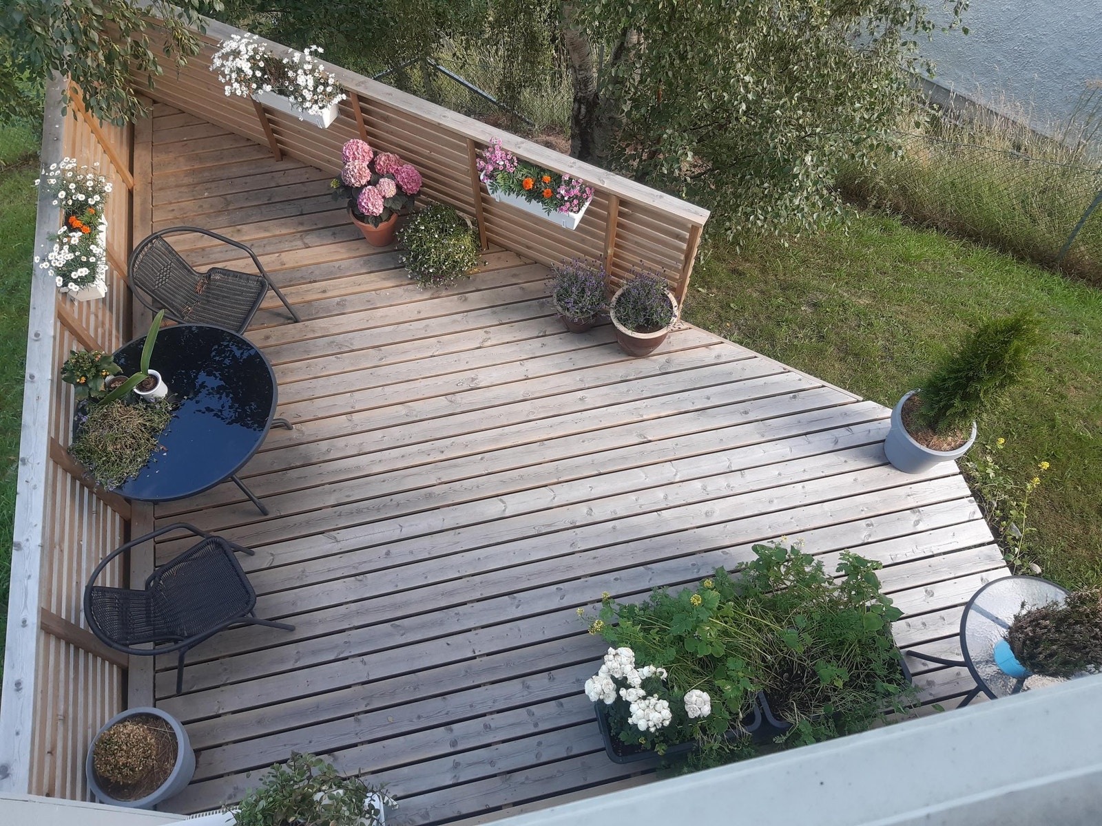 Terrasse Galleribilde