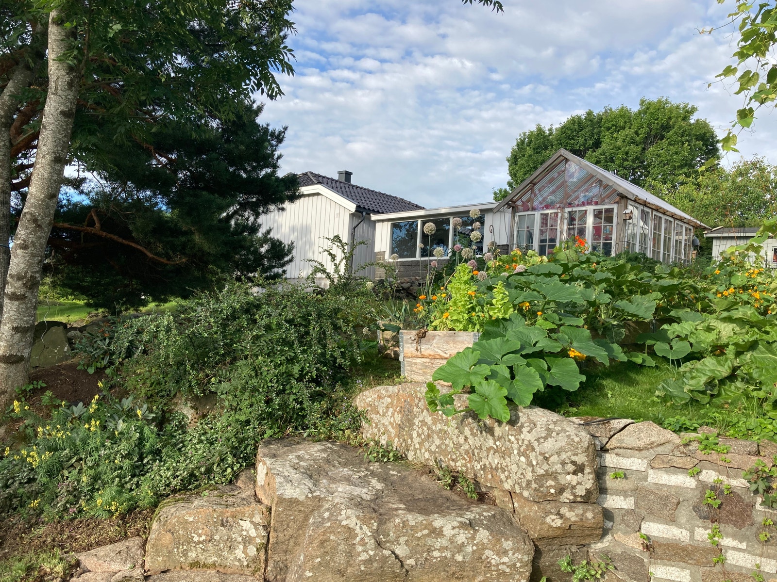 Grønnsakshagen fra syd Galleribilde