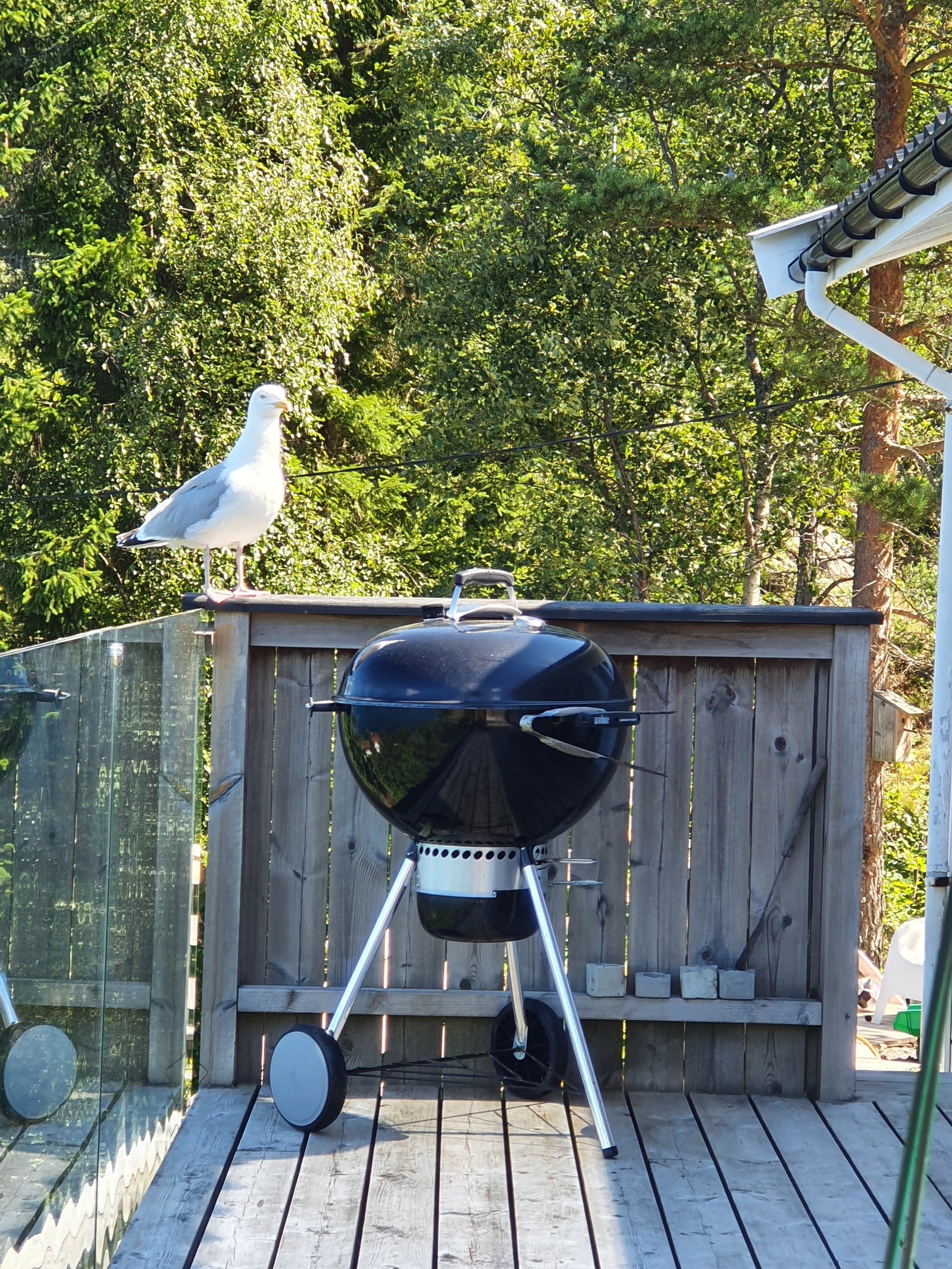 Weber kullgrill på terrasse Galleribilde