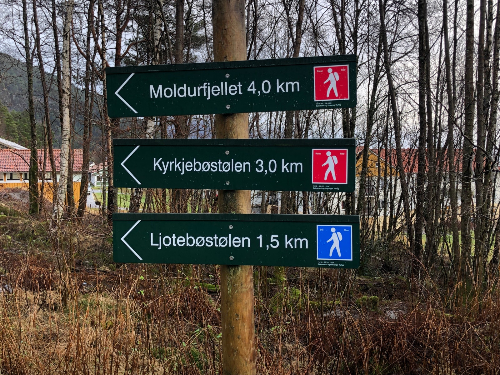 De beste turmuligheter like bak leiligheten Galleribilde