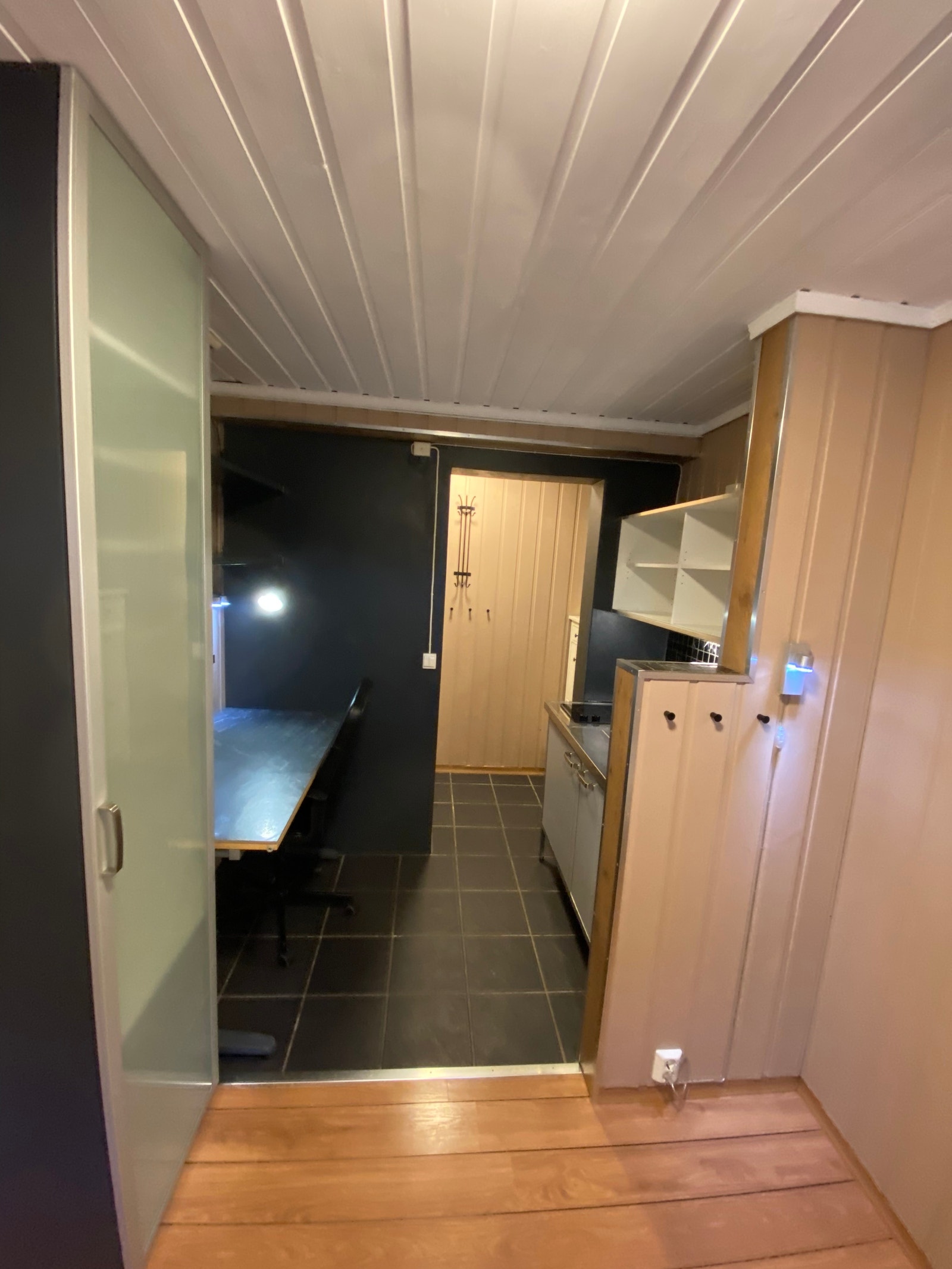 Nyoppusset og moderne Galleribilde