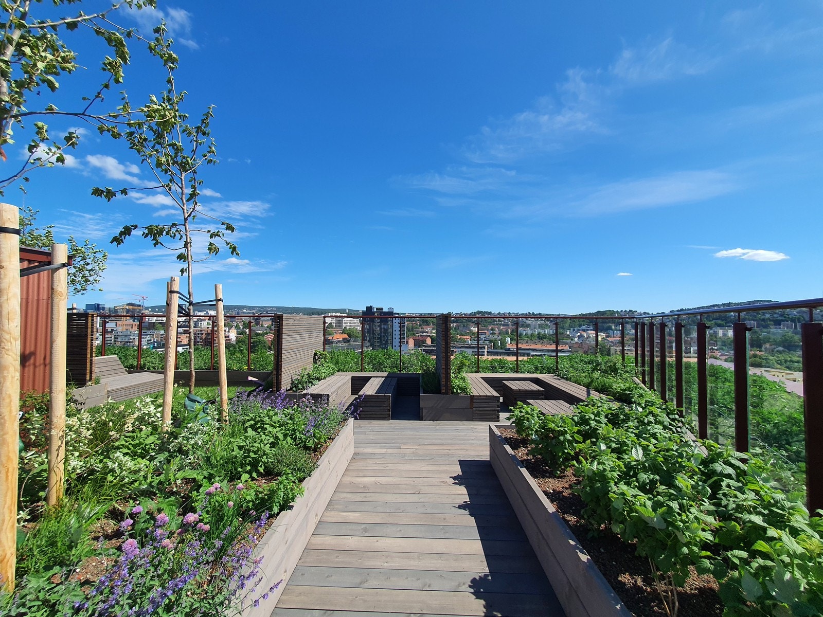 Takterrasse Galleribilde