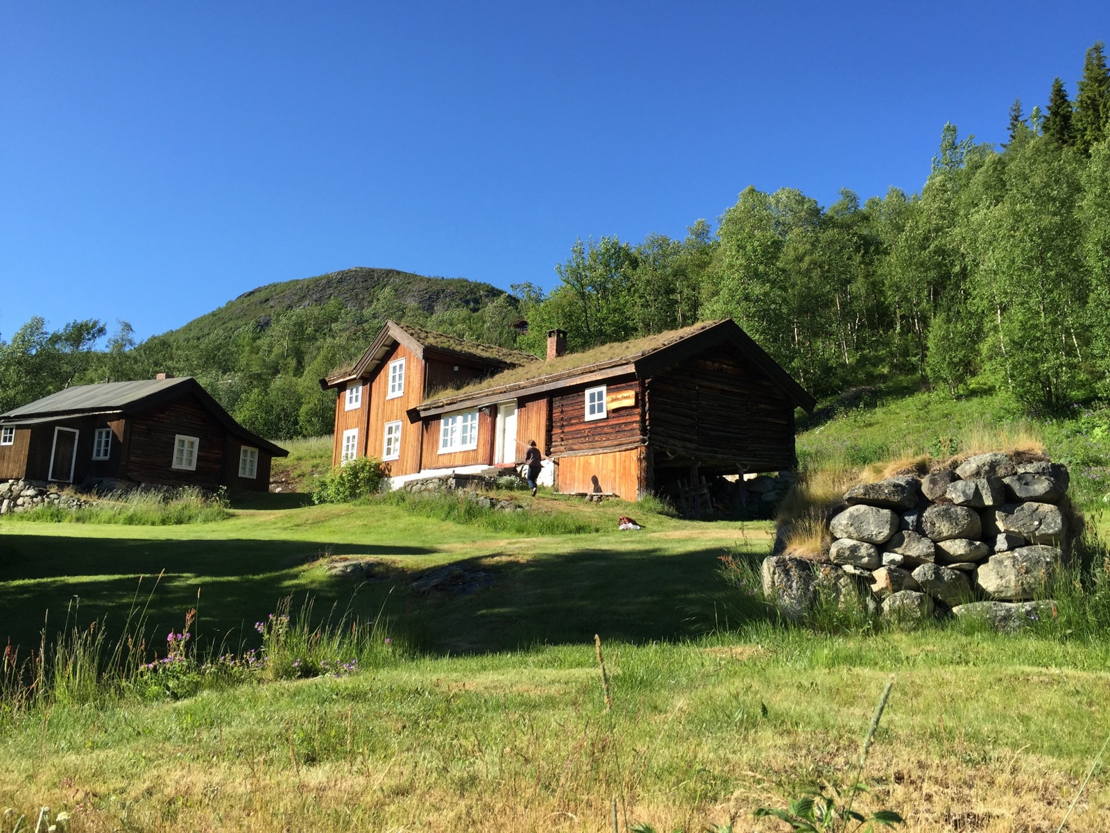 Dekko gård sommer 1 Galleribilde