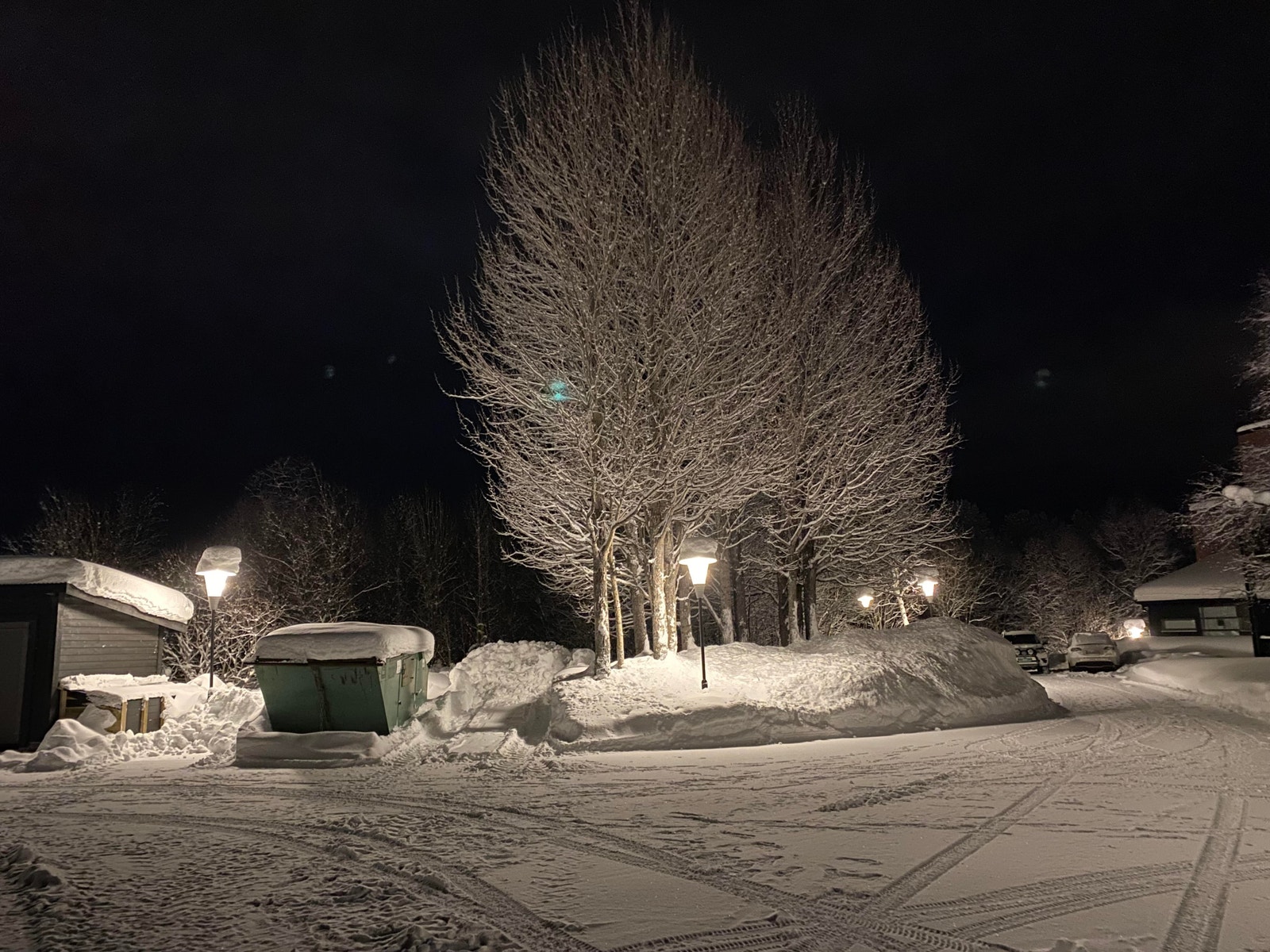 Vinter tre Galleribilde