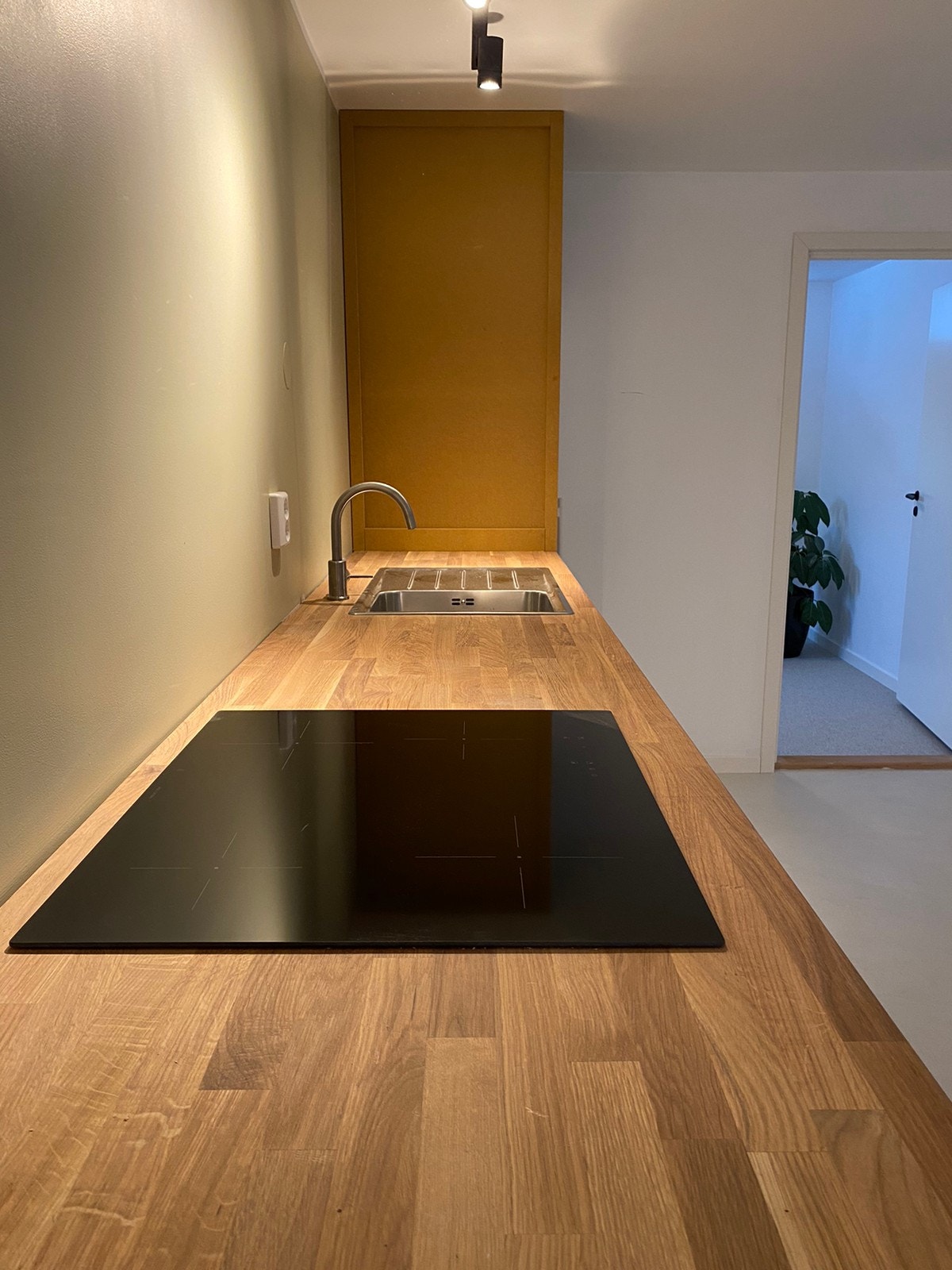 Benkeplate i behandlet heltre Galleribilde