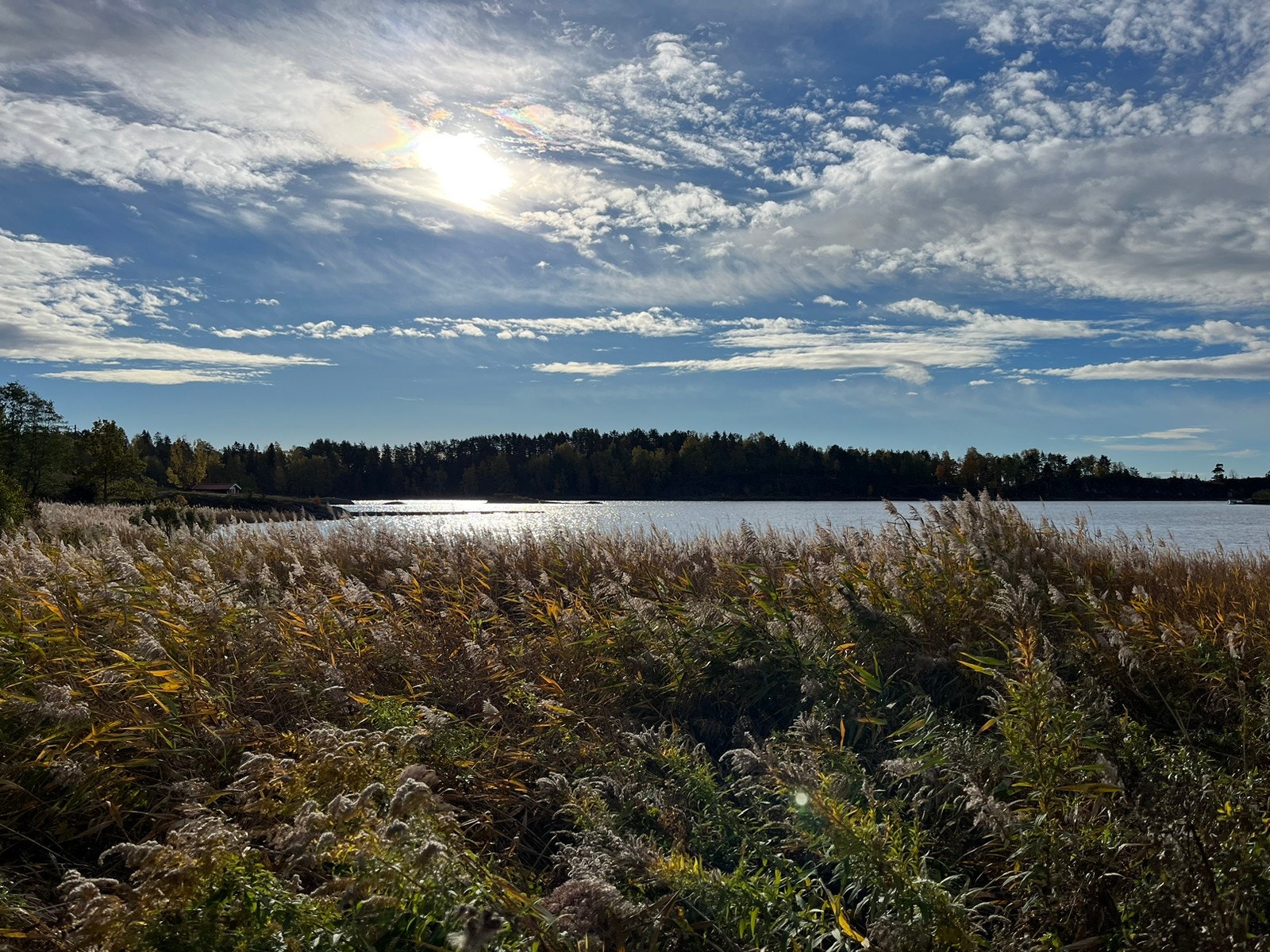 Turområde Brønnøya Galleribilde