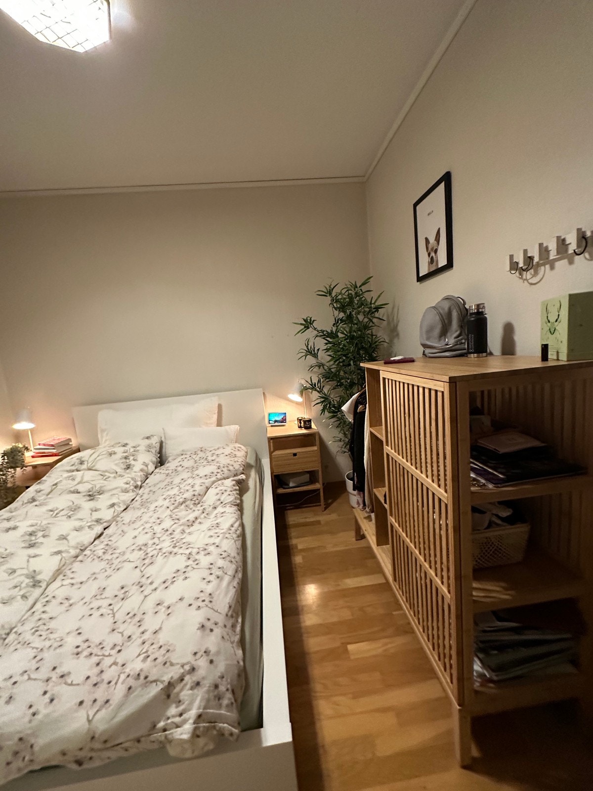 Dette rommet står tomt Galleribilde