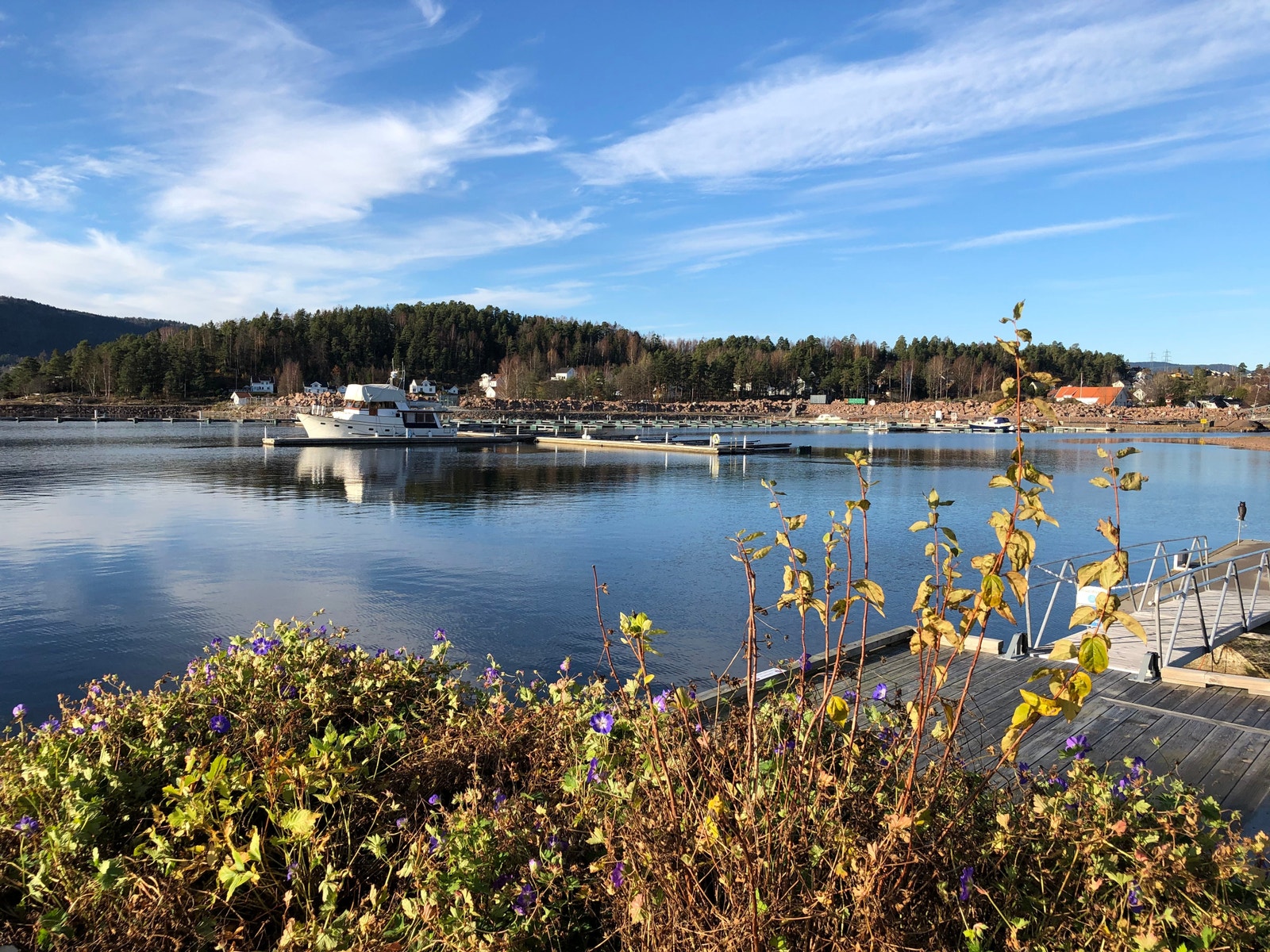 Utsikt fra bryggas fellesområde. Galleribilde