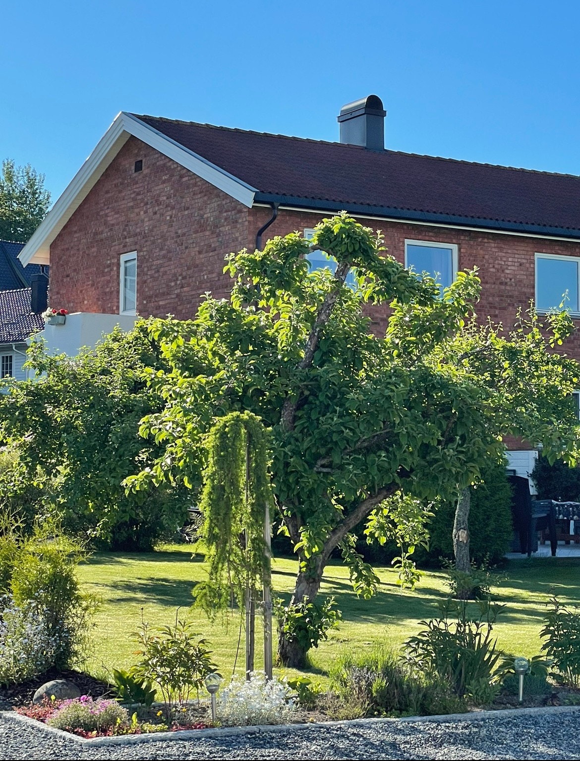 Front og hage Galleribilde