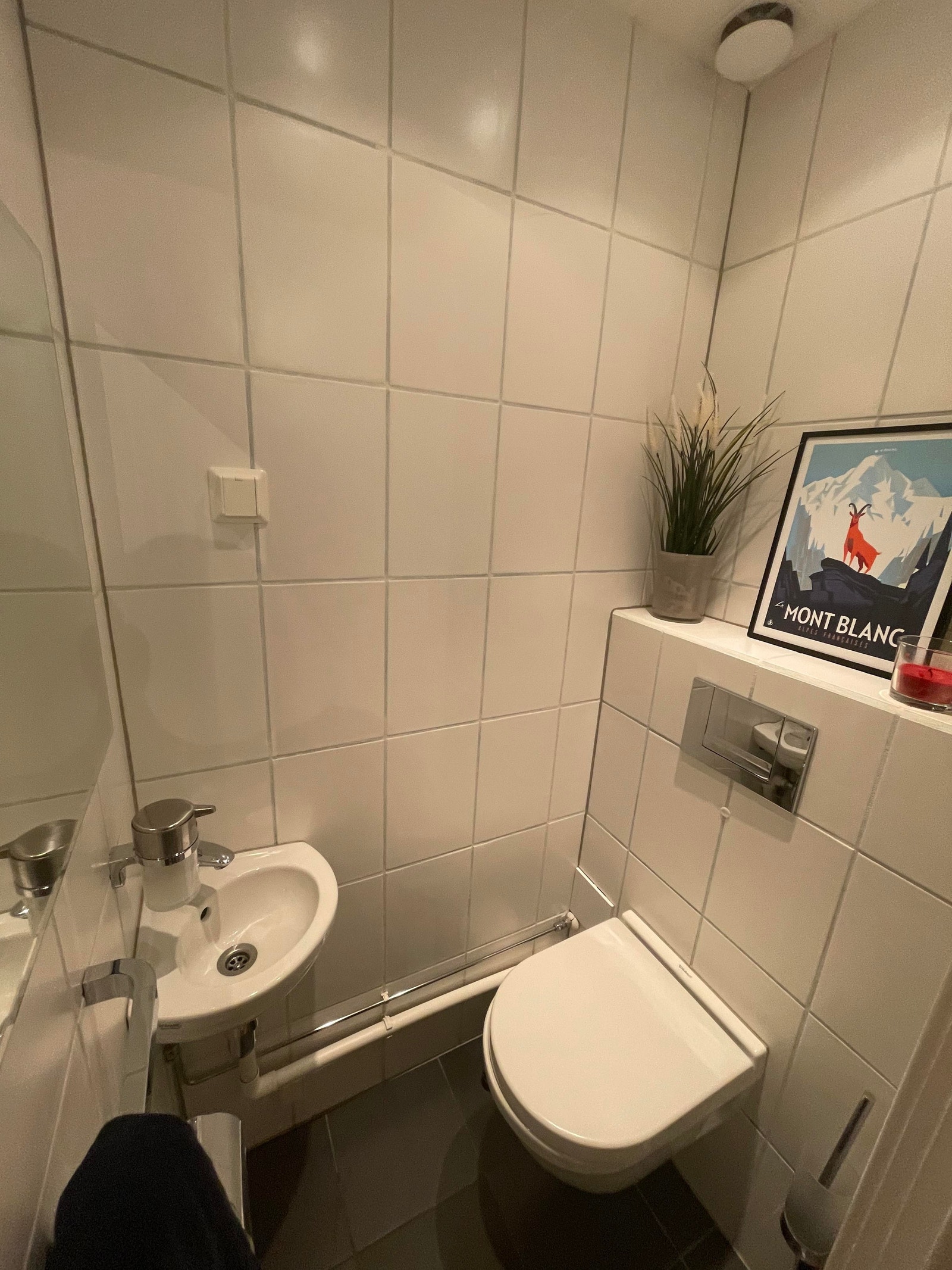 Separat toalett Galleribilde