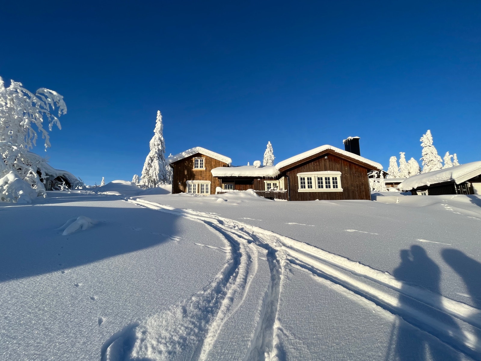 Ski inn til løyper fra hytta Galleribilde