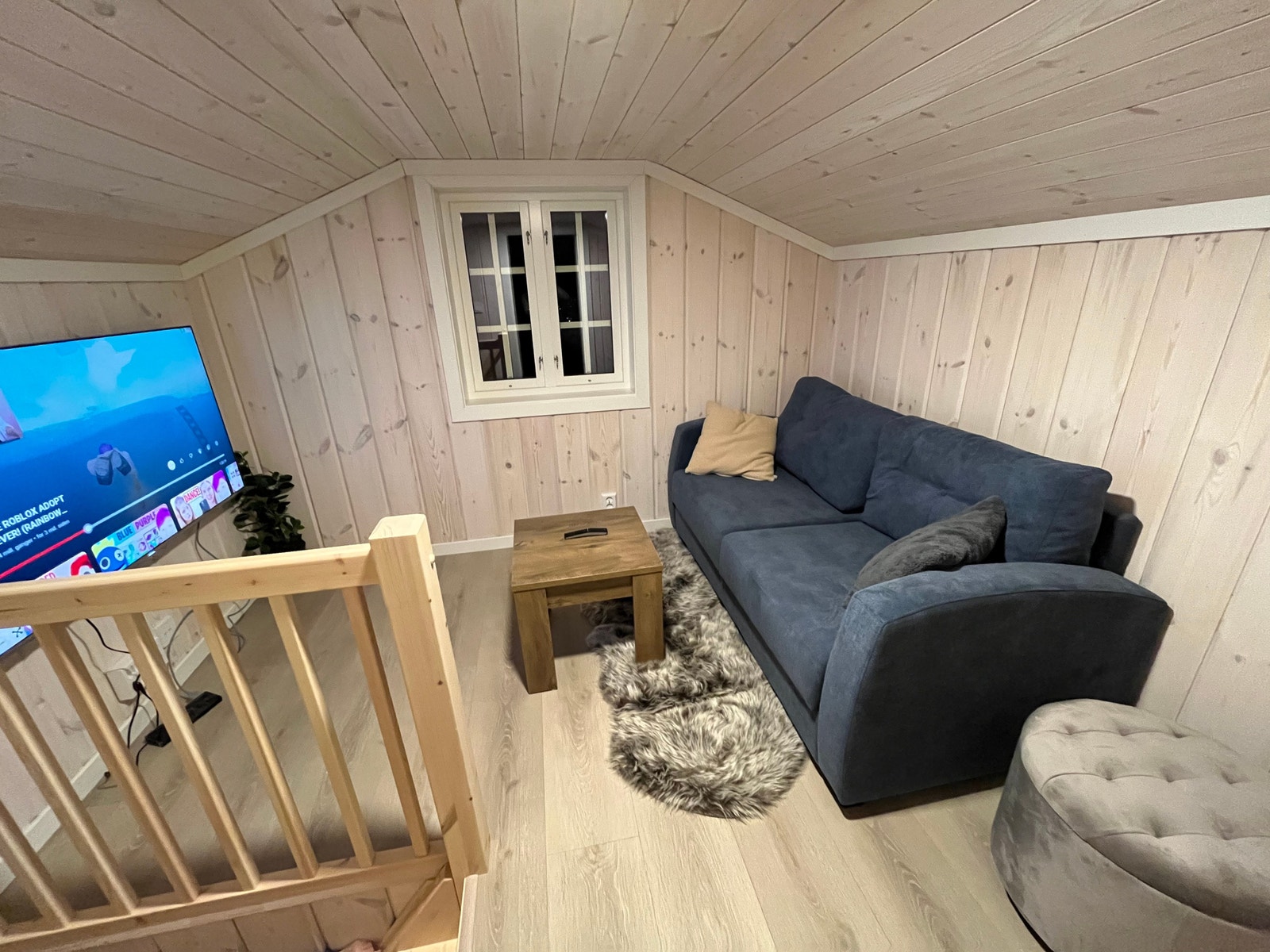 Tv-stue på hemsen m/sovesofa Galleribilde