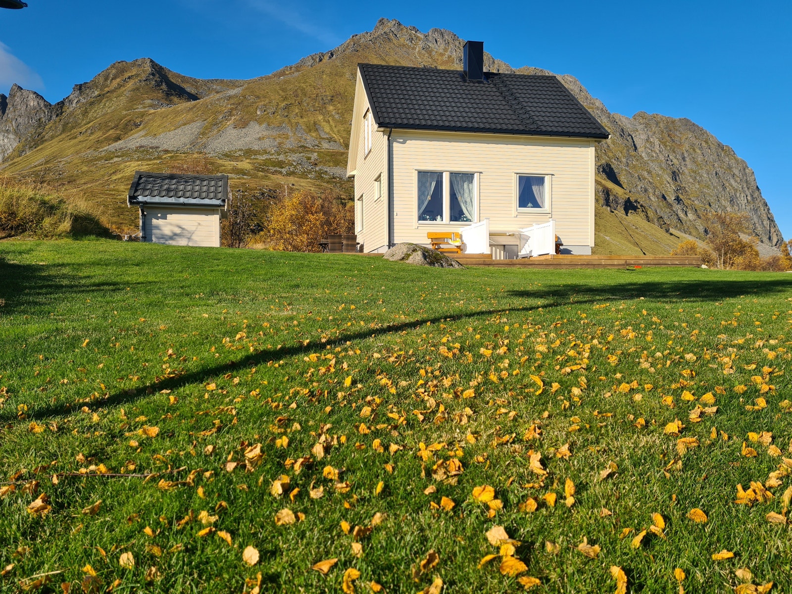 En høstdag ved huset. Galleribilde