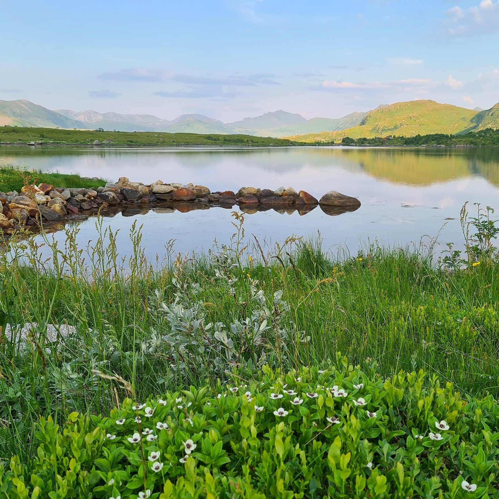 En sommerdag ved sjøen. Galleribilde