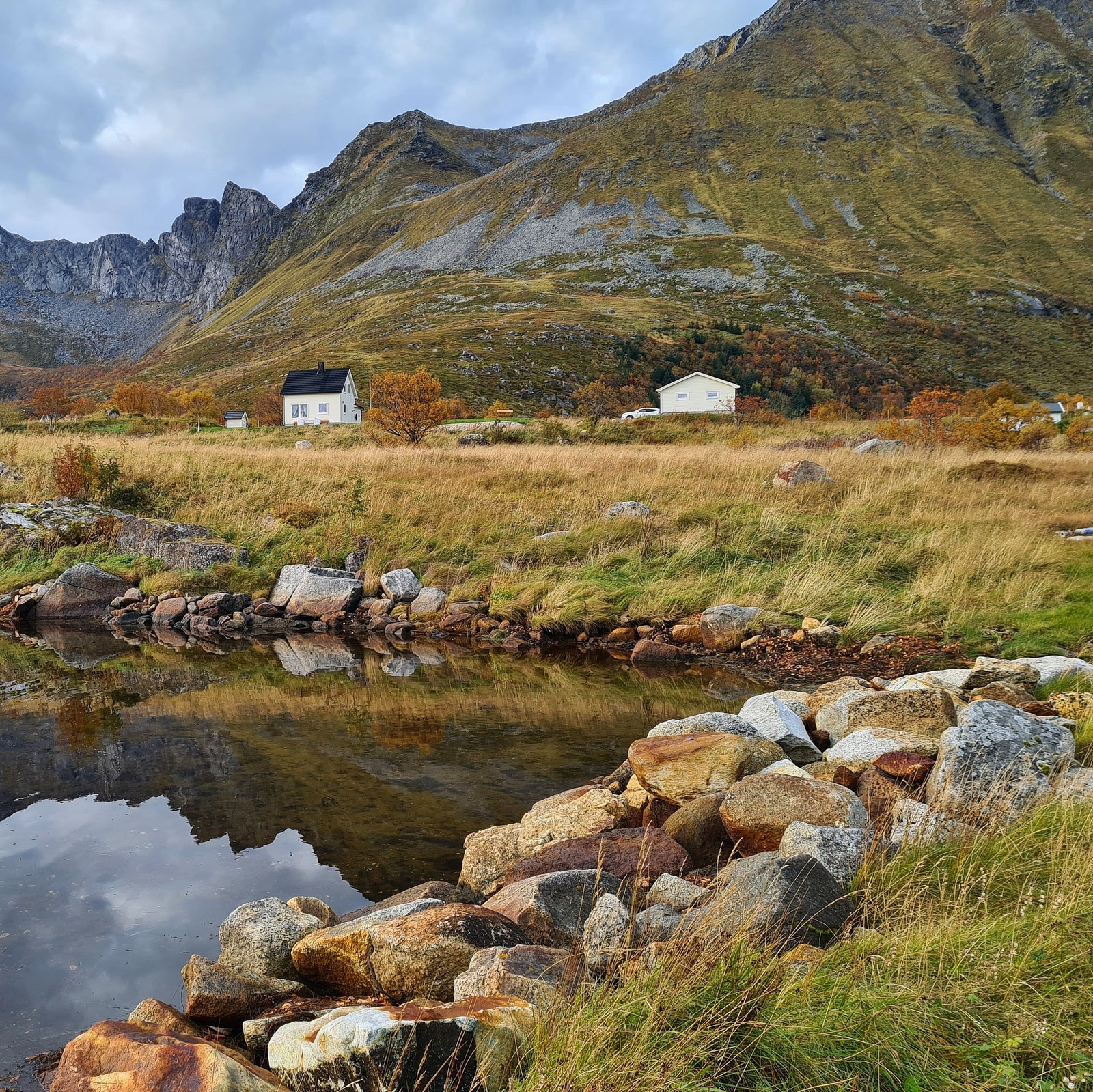 Høstbilde Galleribilde