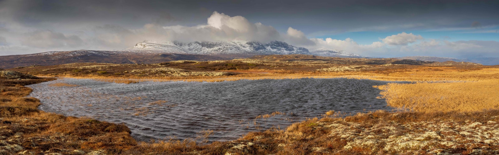 Budalen nærområde Galleribilde