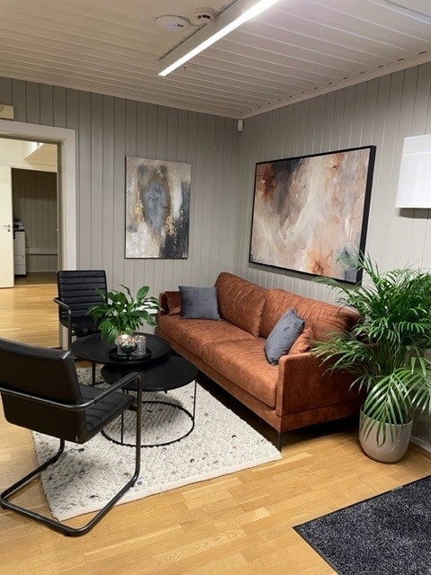 Fellesarealer Galleribilde