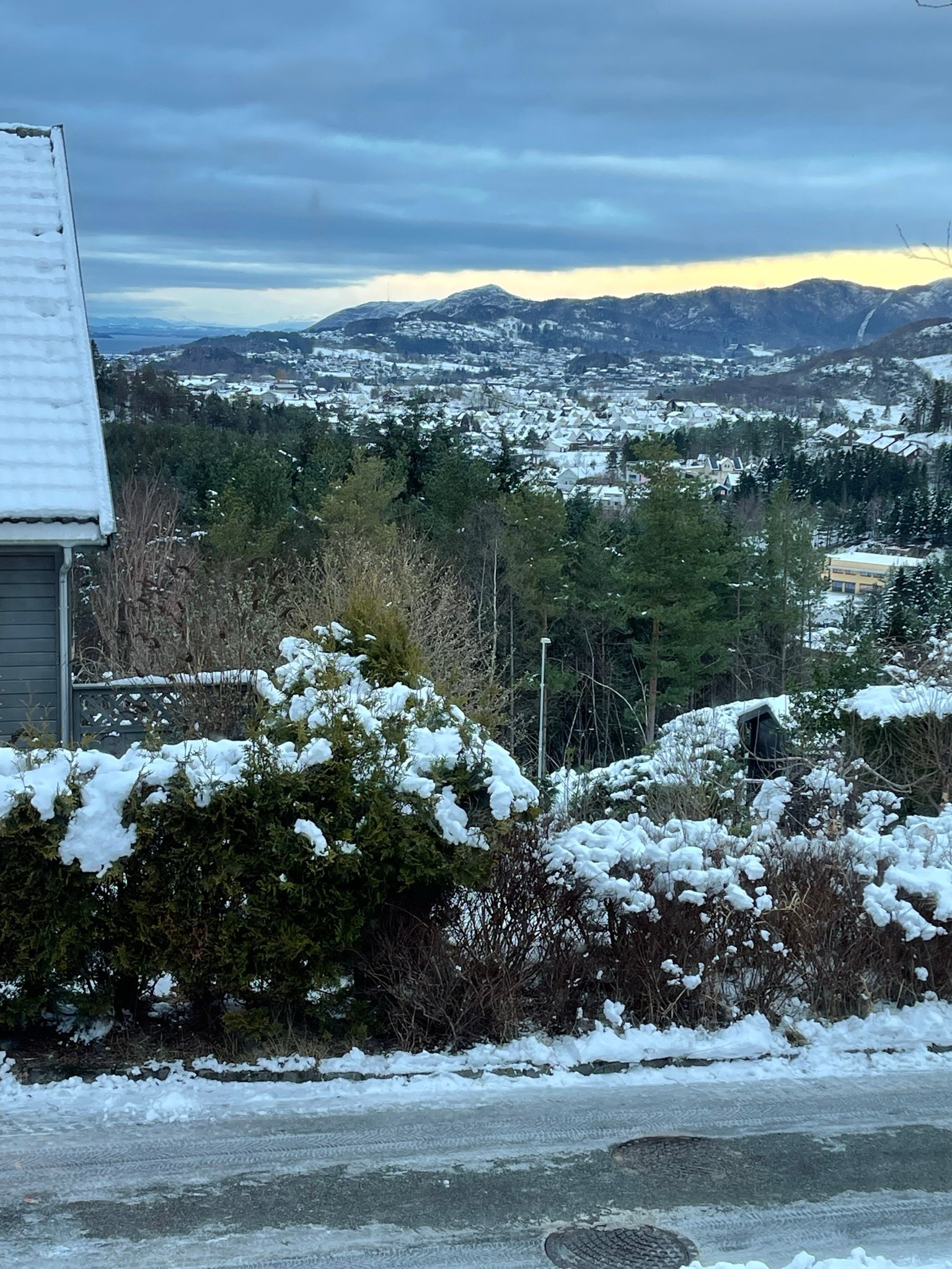 Utsikt mot nord Galleribilde