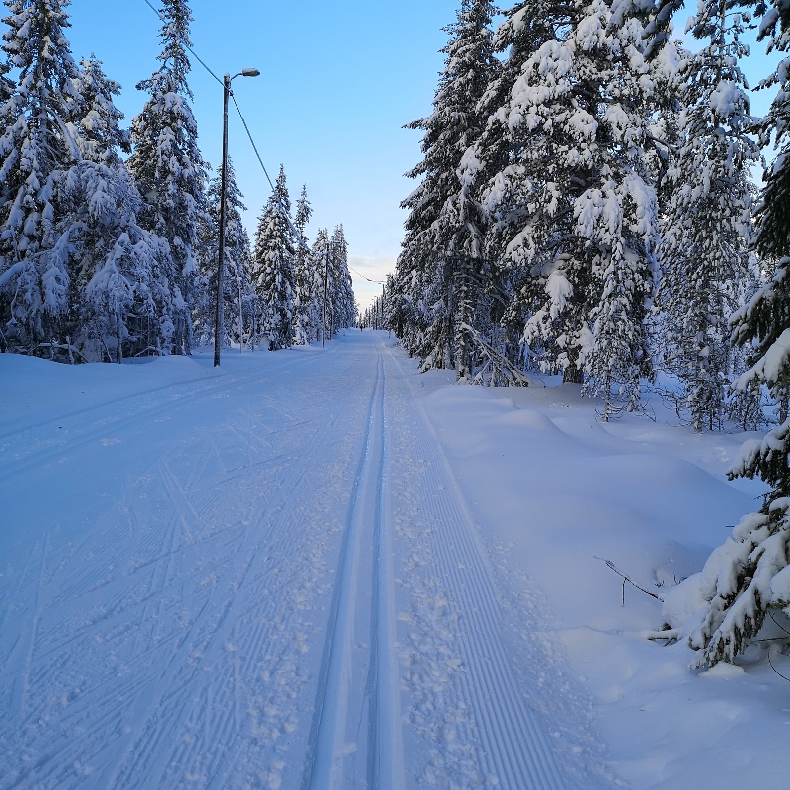 Skiløyper. Denne er lysløypa til Lageråkvisla Galleribilde