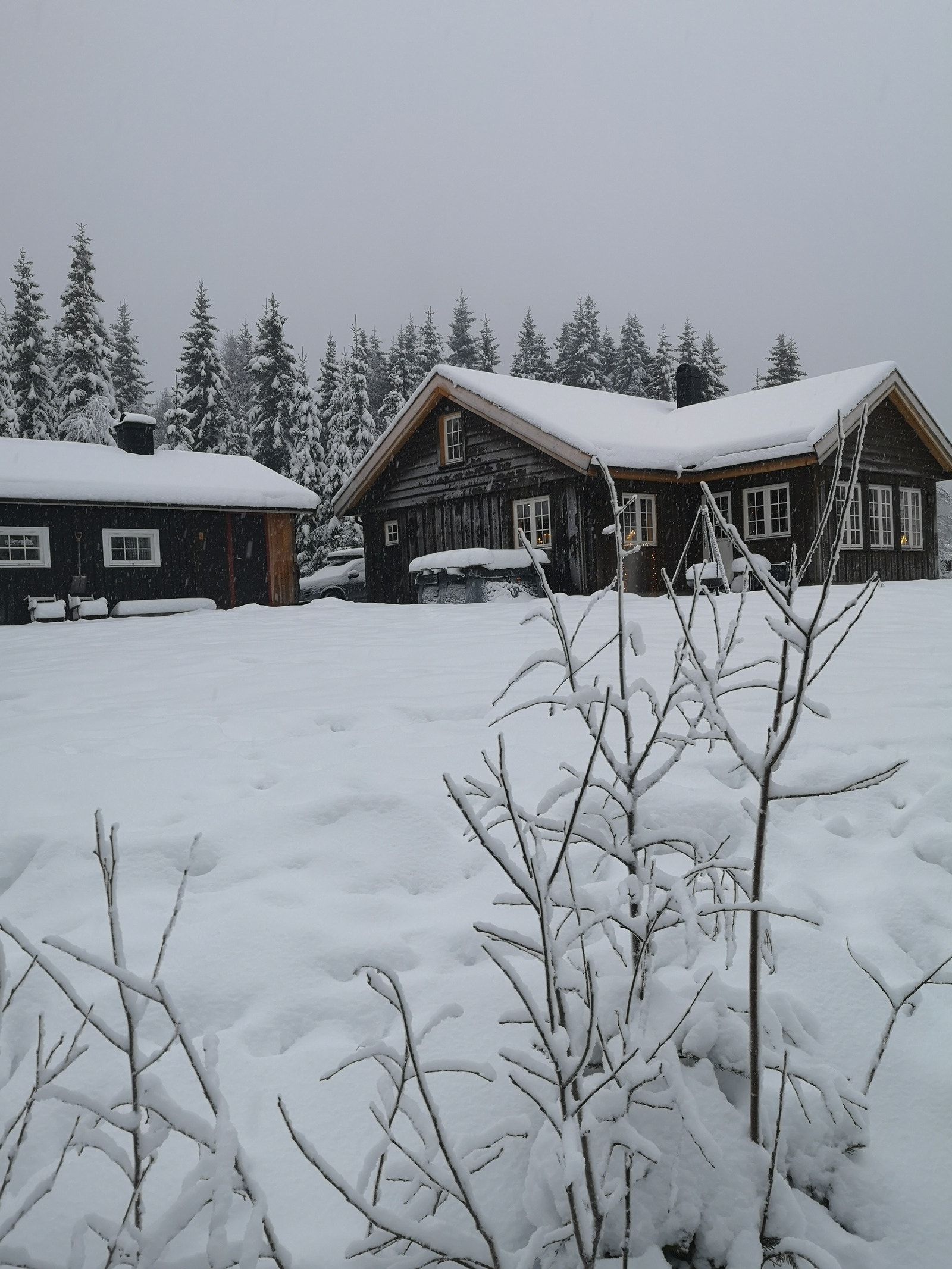 Hytta ute på vinteren Galleribilde