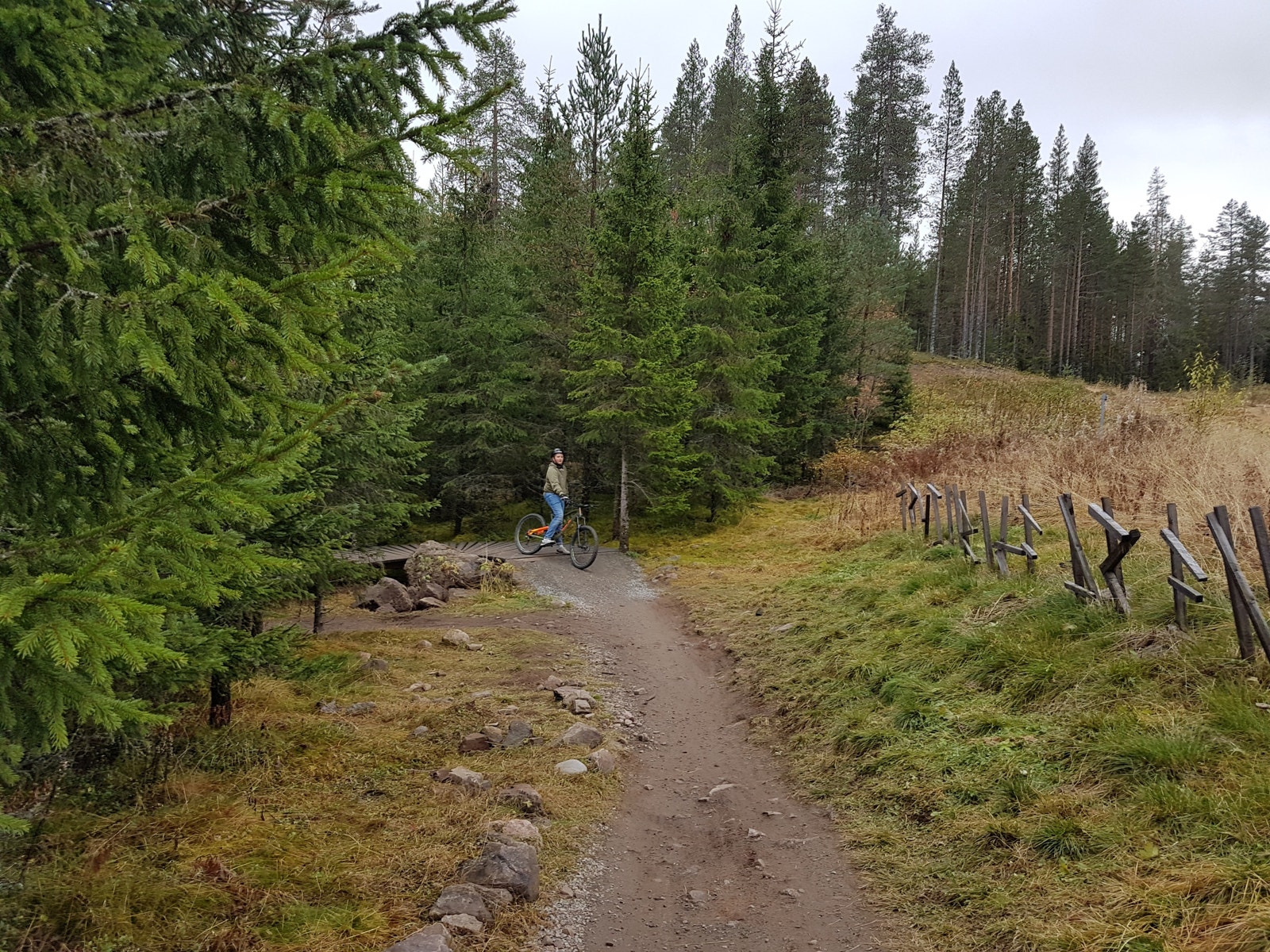 Nærhet til skog og mark Galleribilde