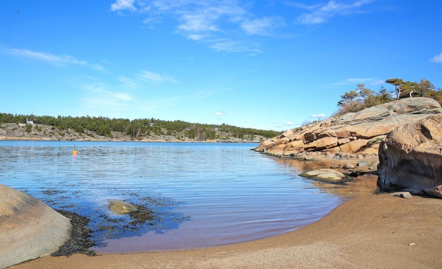 Fellesstrand Galleribilde