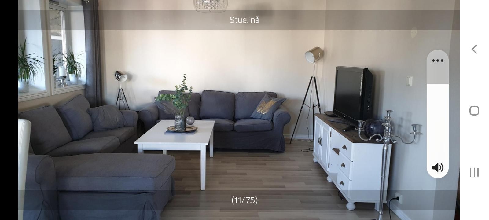 Stue Galleribilde