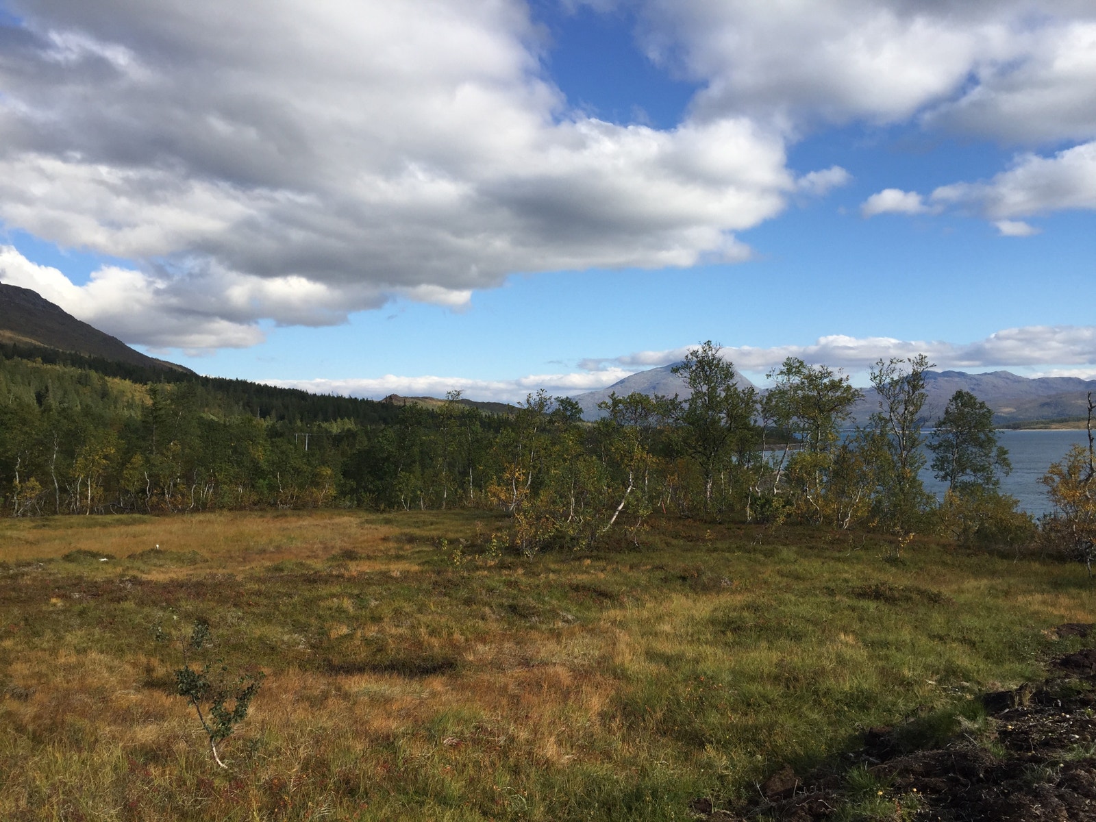 Stor og fin flate foran skråning mot vatnet. Galleribilde