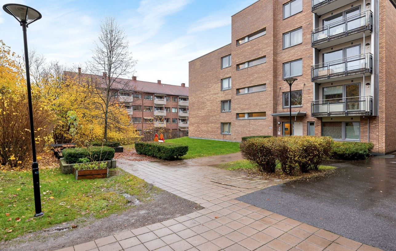 Bakgård Galleribilde