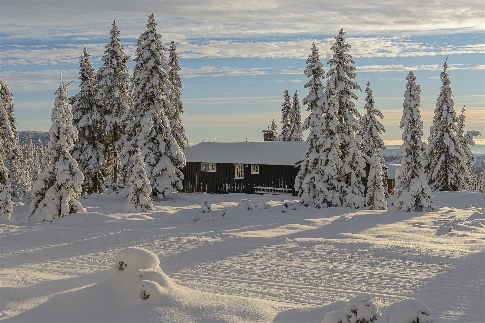 Tett på sporet! Oppkjørte "trikkeskinner" går rett bak hytteveggen! Perfekt for både små og store. Galleribilde