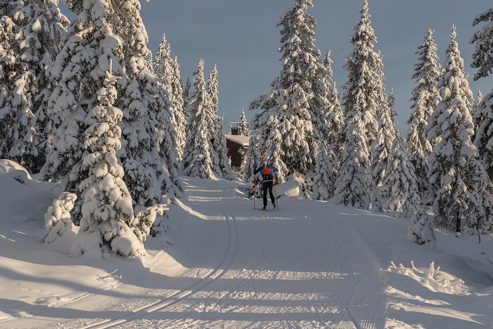 Milevis av topp preparerte skiløyper er tilgjengelig på Sjusjøen. Her finner du noe som passer for alle. Galleribilde