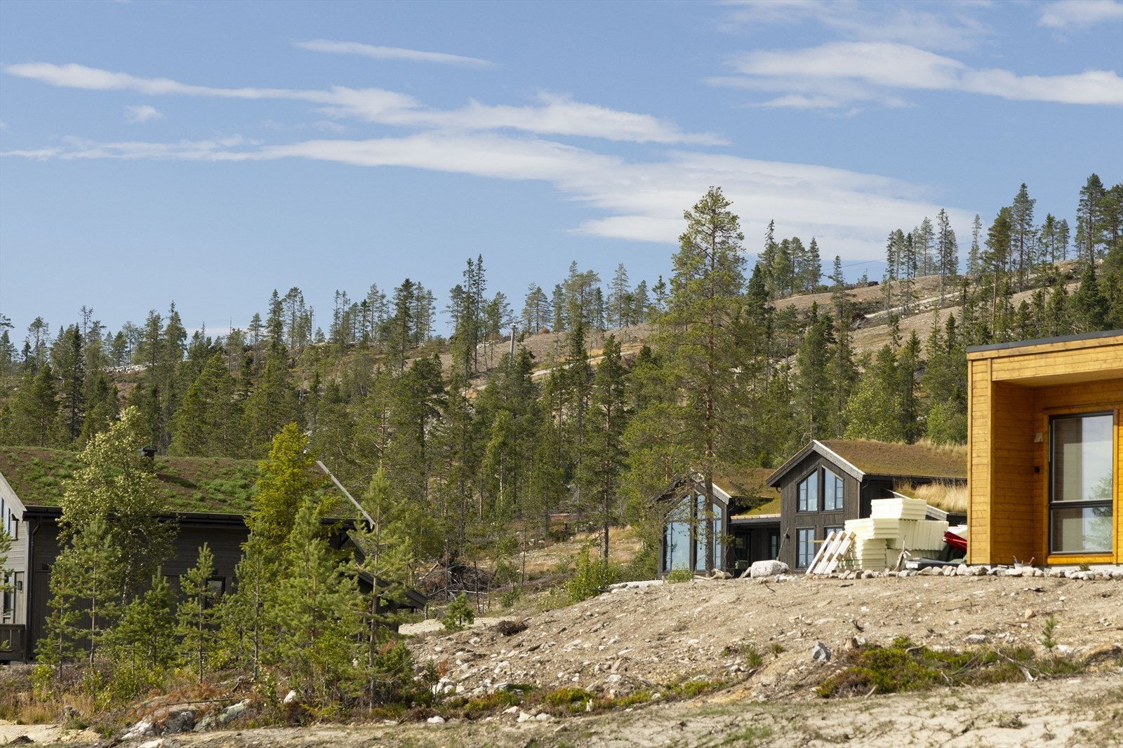 Utsikt til alpinbakkene Galleribilde