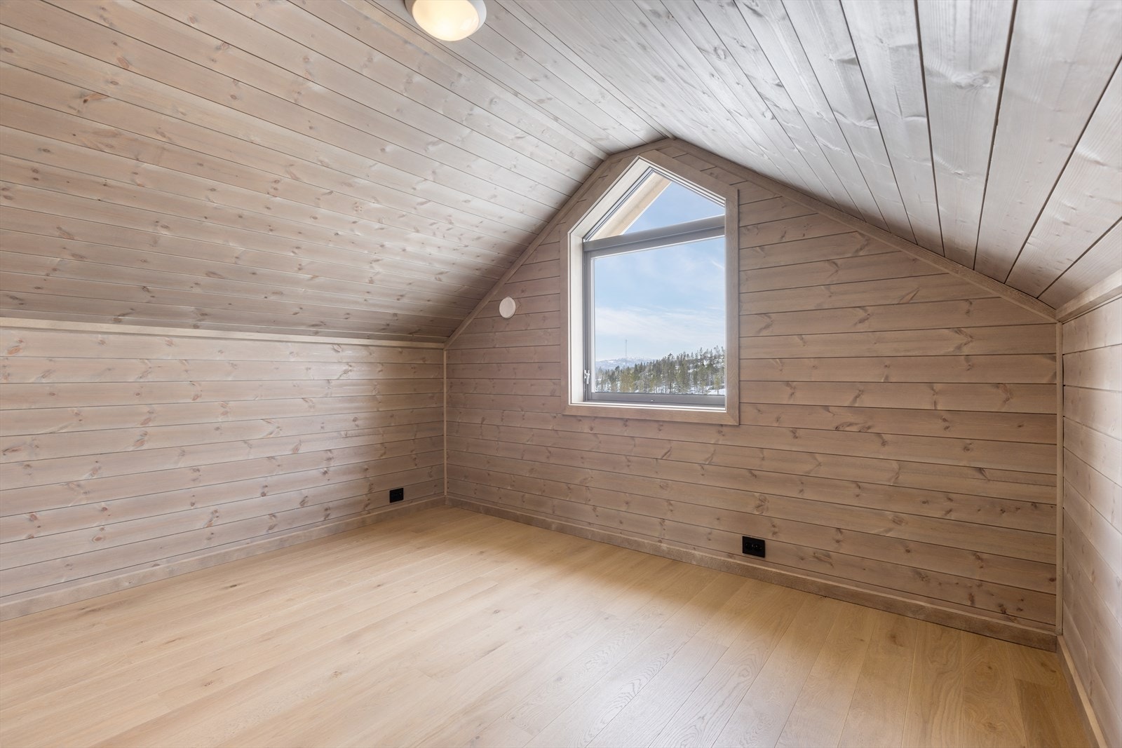Hemsrom Galleribilde