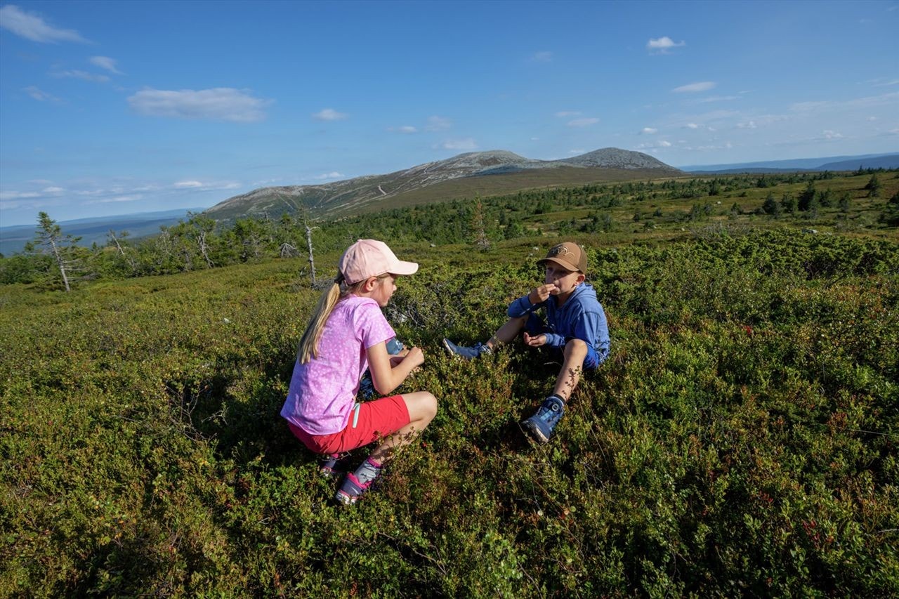 I området er det flotte turstier og toppturmål. I bakgrunnen ser vi toppen av Trysilfjellet, 1132moh, og til venstre ser vi området i Fageråsen Galleribilde