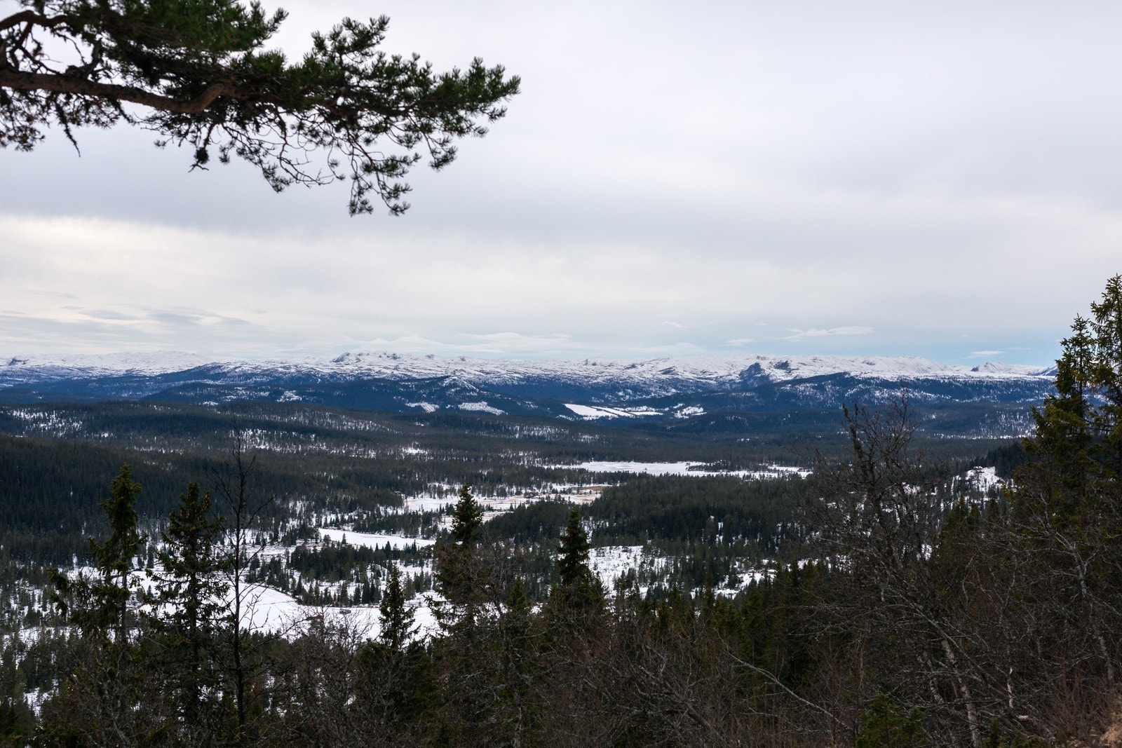 Utsikt fra gapahuk ved hyttefeltet. Galleribilde