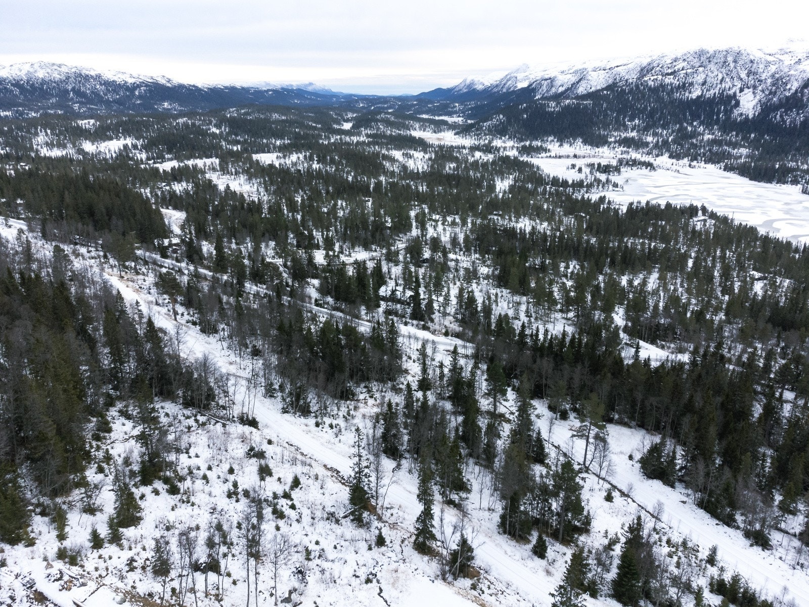 Tomtefelt B og C. Galleribilde