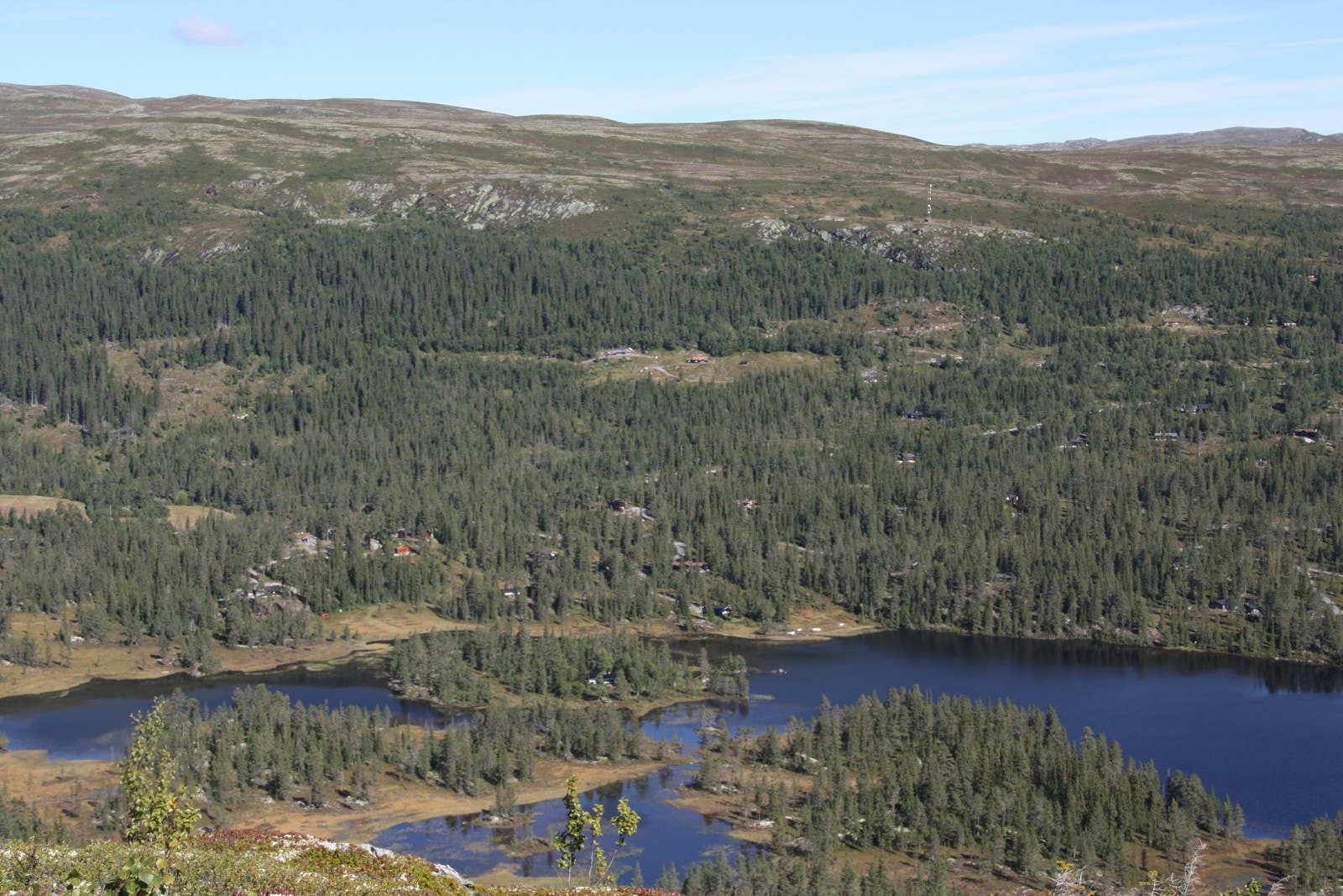 Selgers private bilder på sommerstid. Utsikt over Skirvedalen Galleribilde