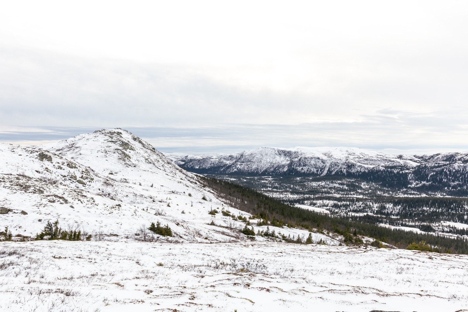 Kort vei fra hyttefeltet kommer du til Killingsskareto. Dette er på Hardangervidda og har uendelig med tur- og langrenssløyper. . Galleribilde