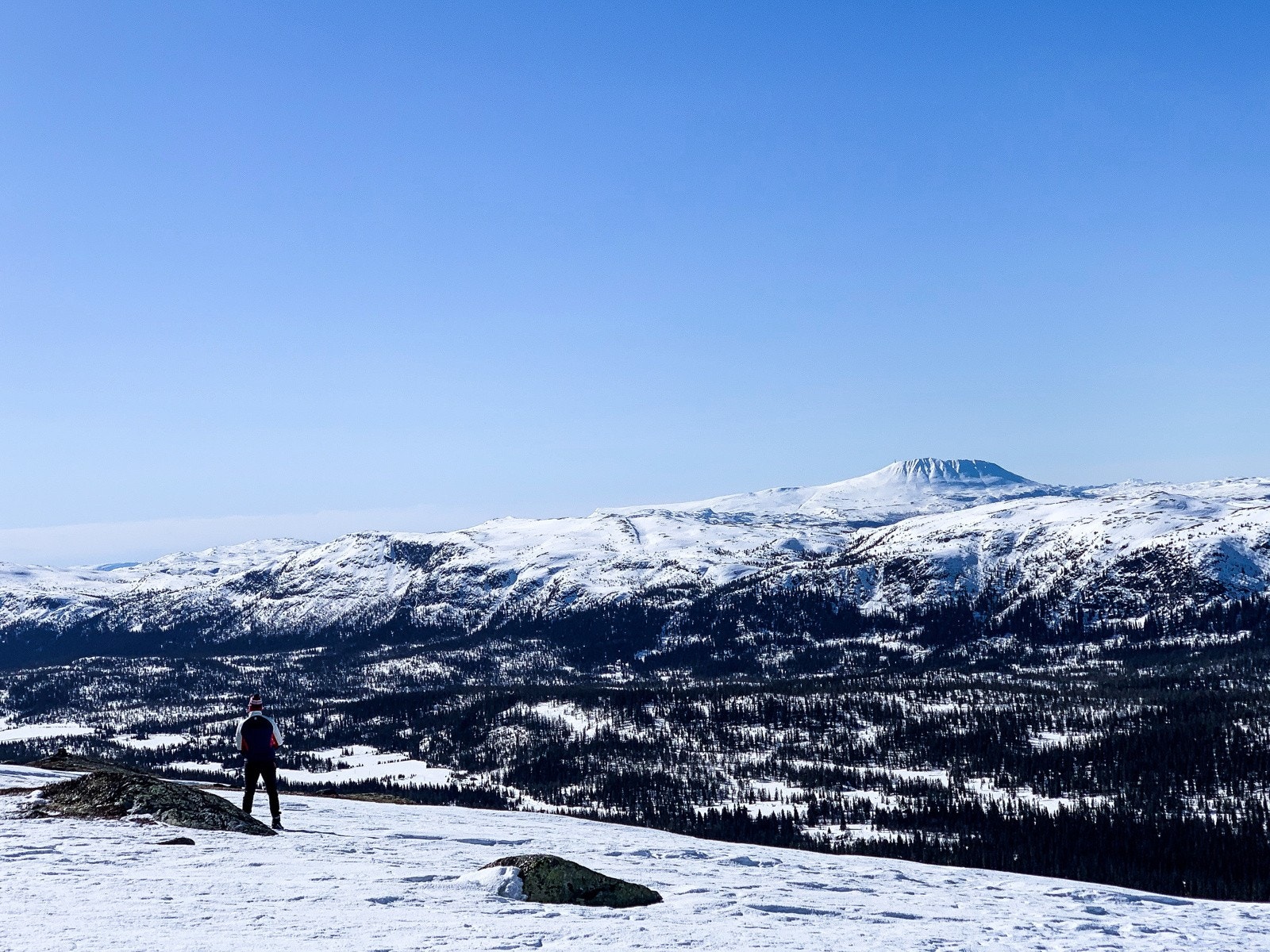 Kort vei til toppen av fjellet. Her har du fantastiske skiløyper på vinter og turområder resten av året. Galleribilde