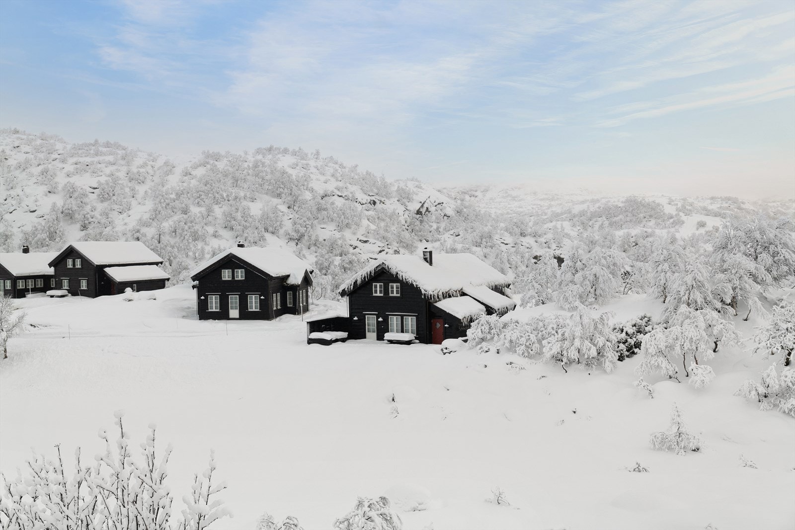 Velkommen til Buliveien 222! Galleribilde