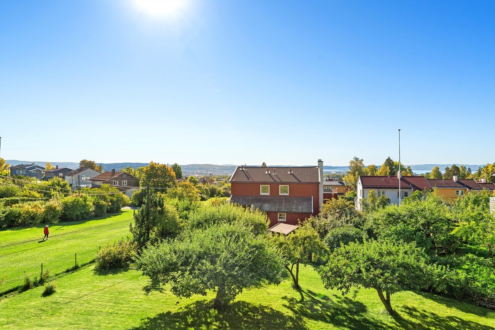 Stor eplehage på tomt Galleribilde