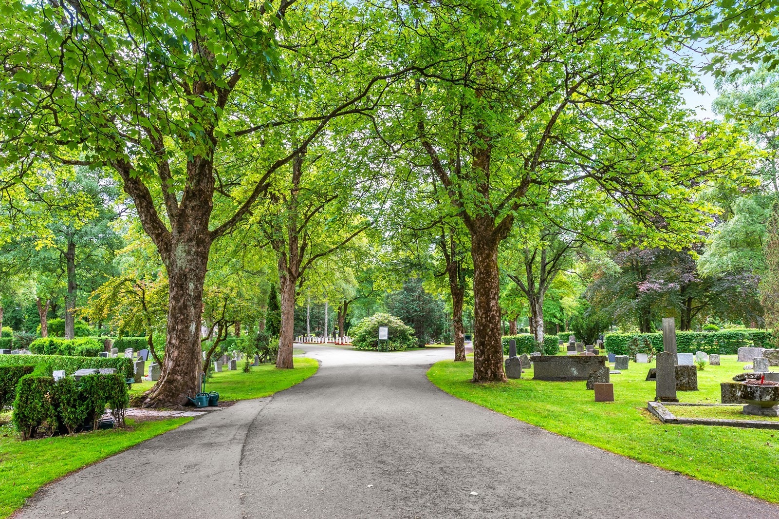 Ca. 350 meter til Vestre gravlund Galleribilde