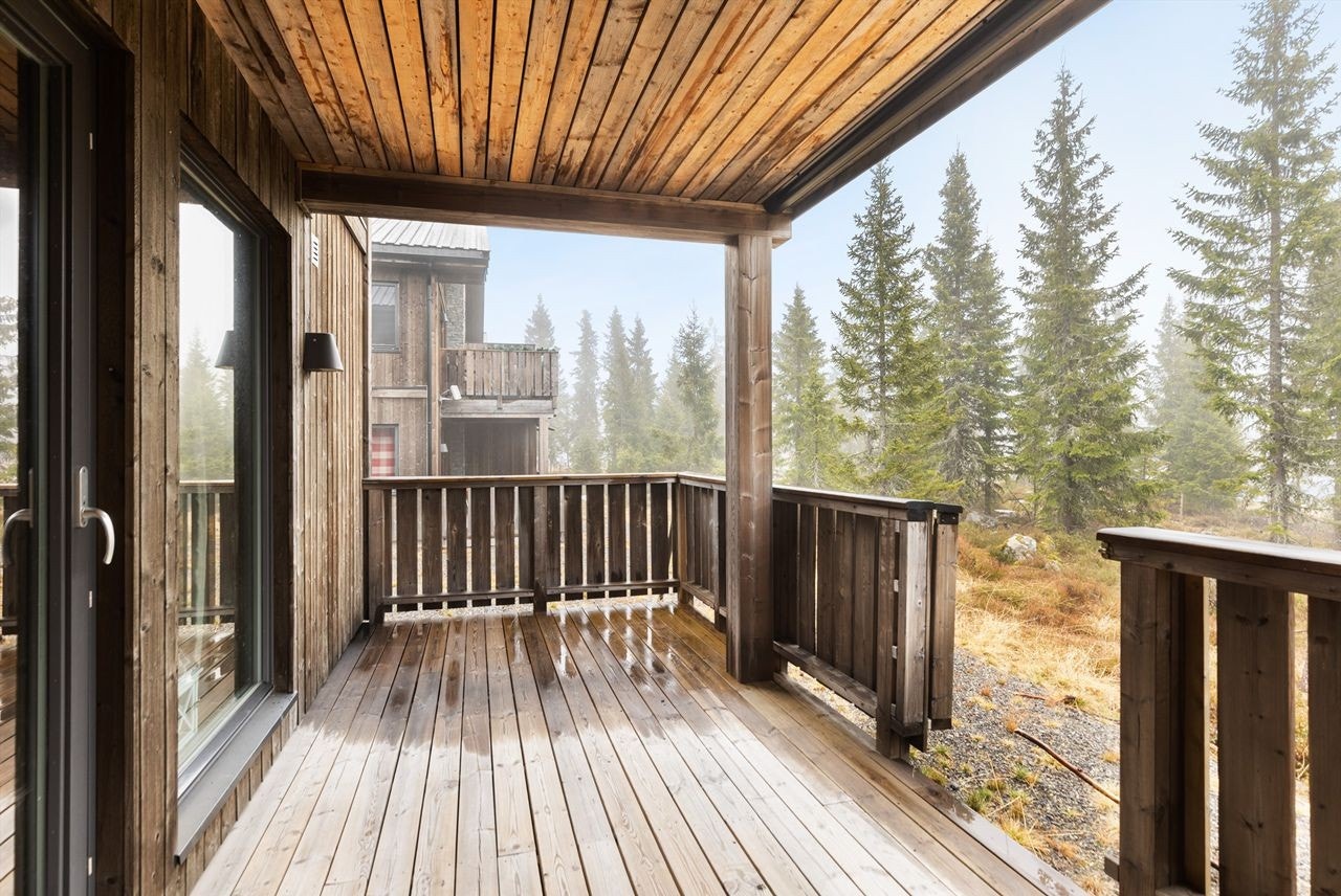 Stor og overbygd terrasse med adkomst til terreng. Galleribilde